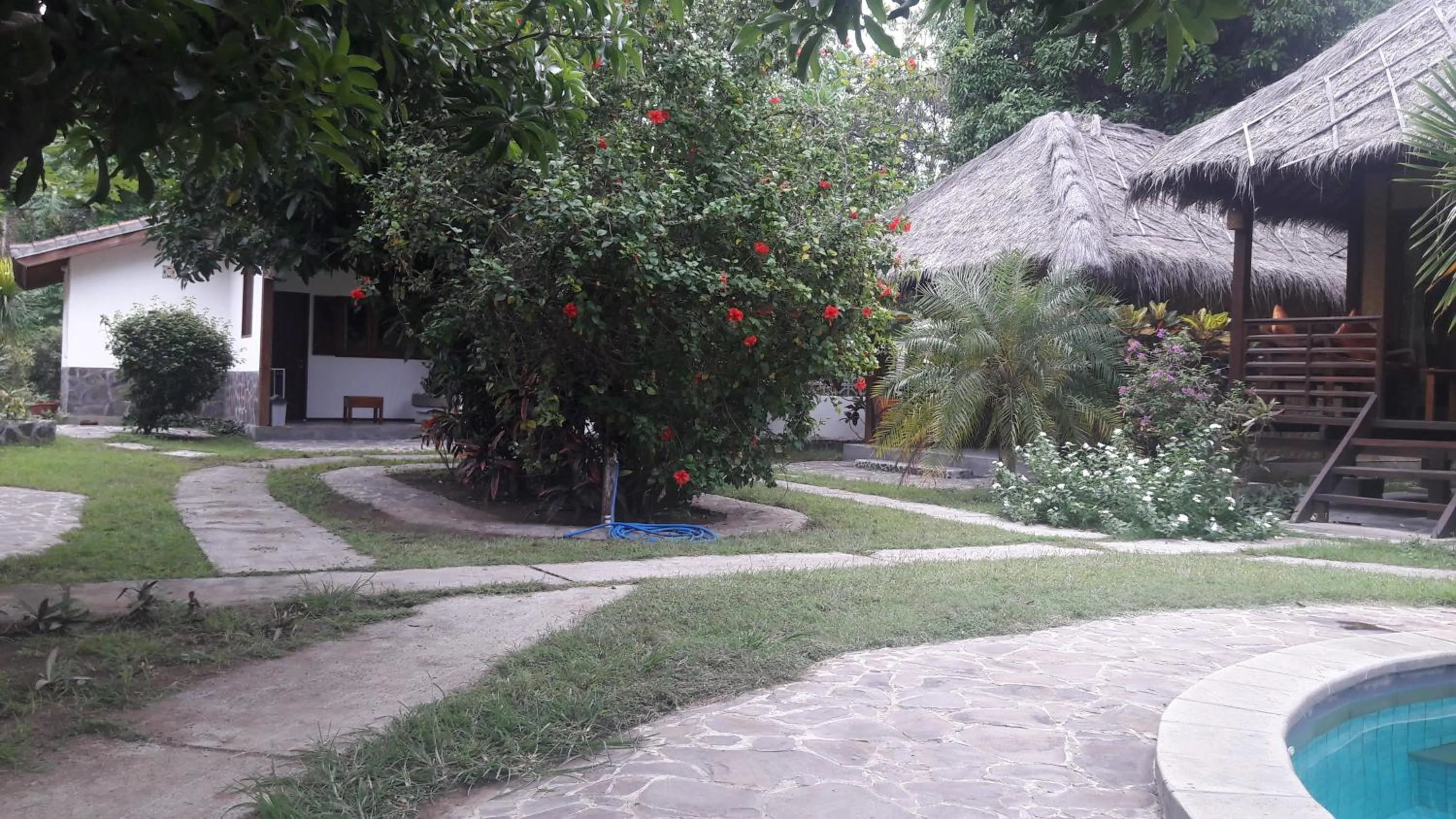 Garden in Si Pitung Village