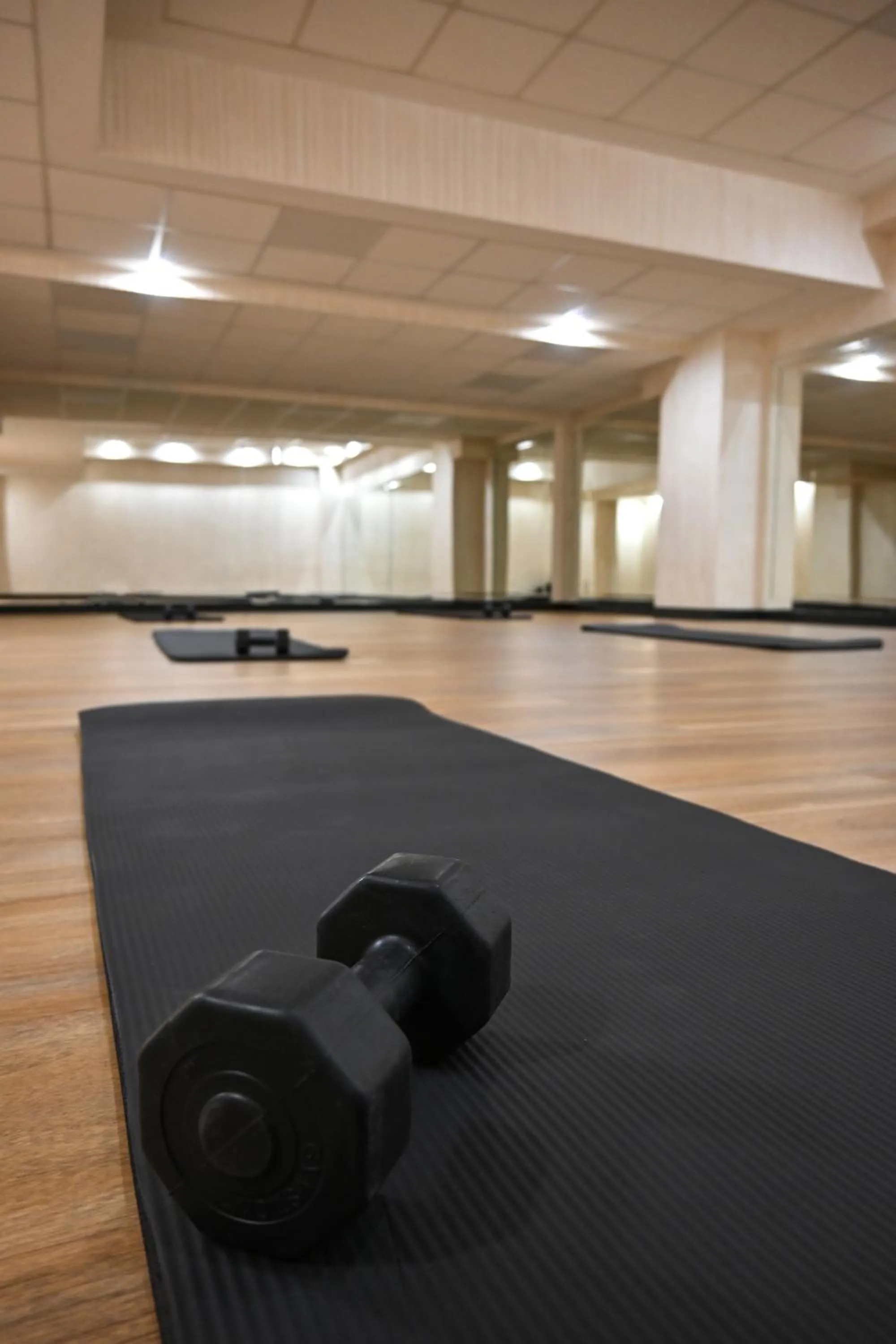 Fitness centre/facilities in Aleksandar Palace Hotel Congress Center & SPA