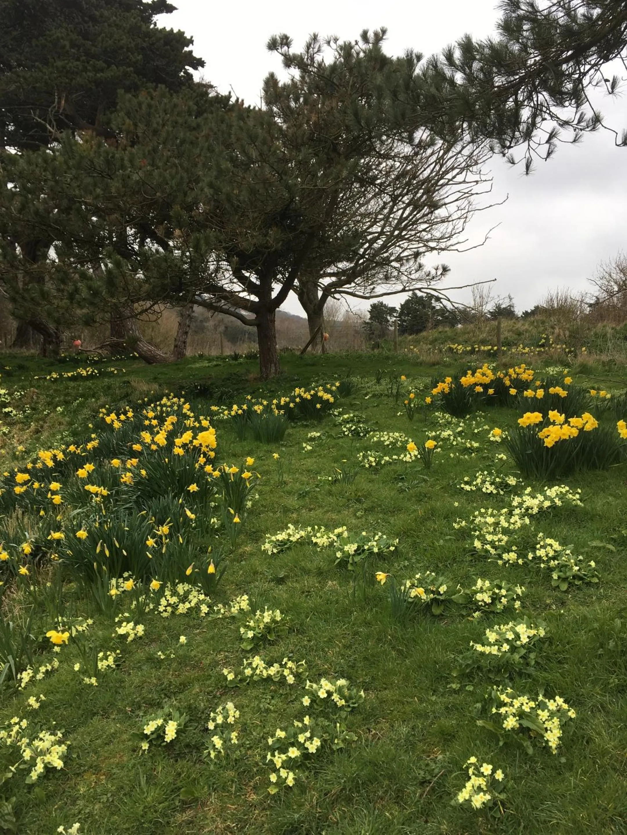 Property building in Lisle Combe