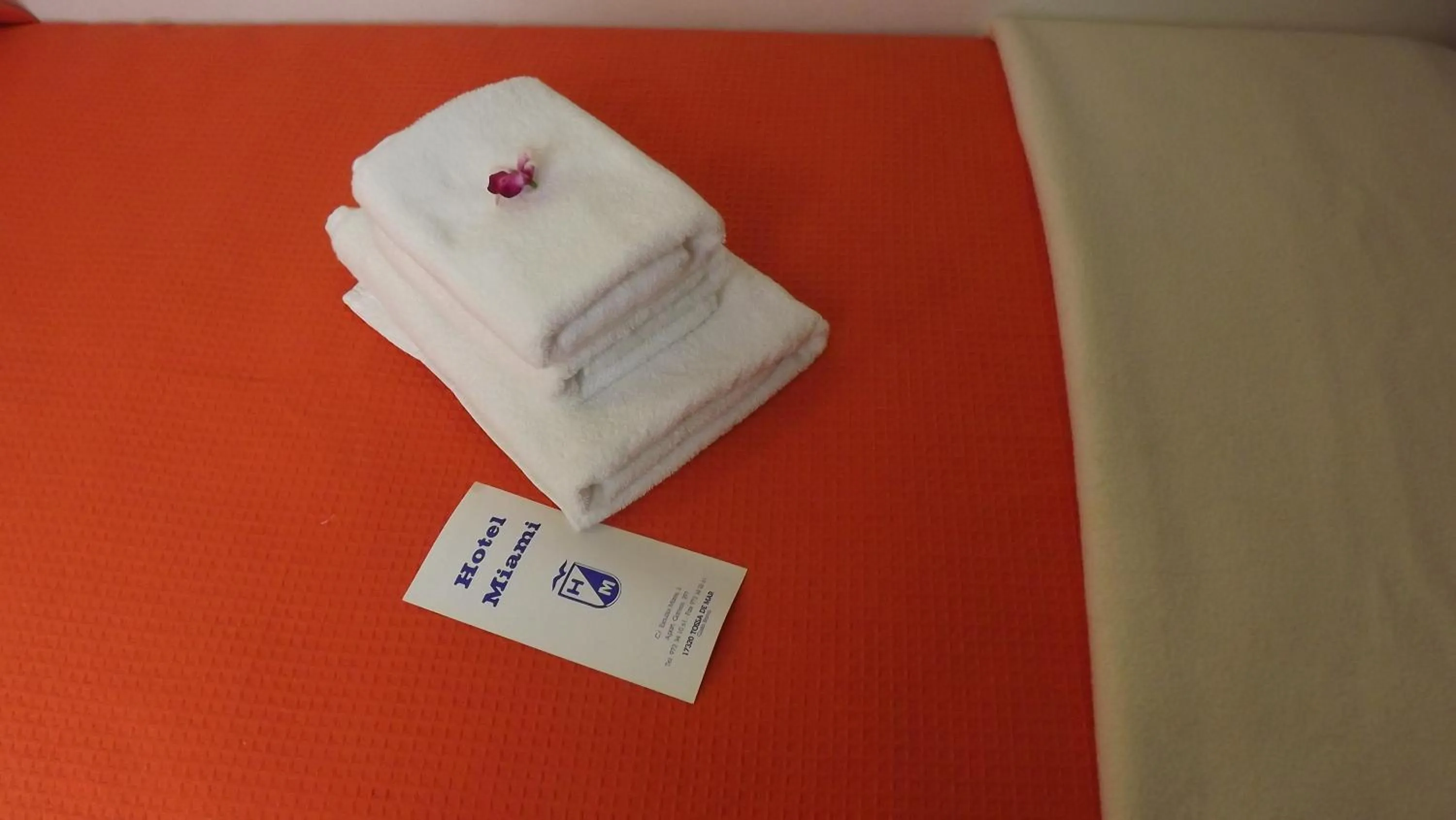 Decorative detail in Hotel Miami