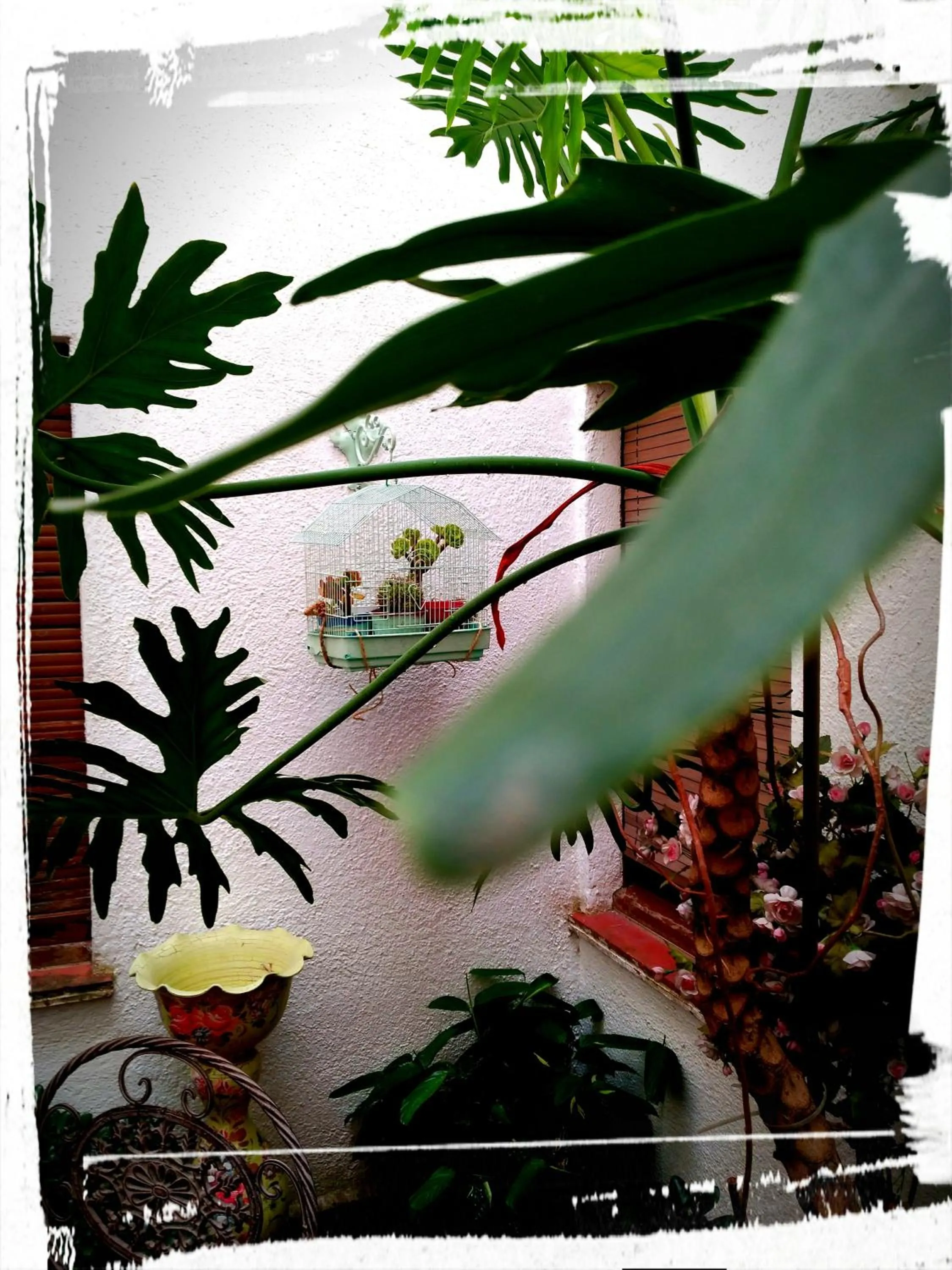 Patio in Hotel Miami