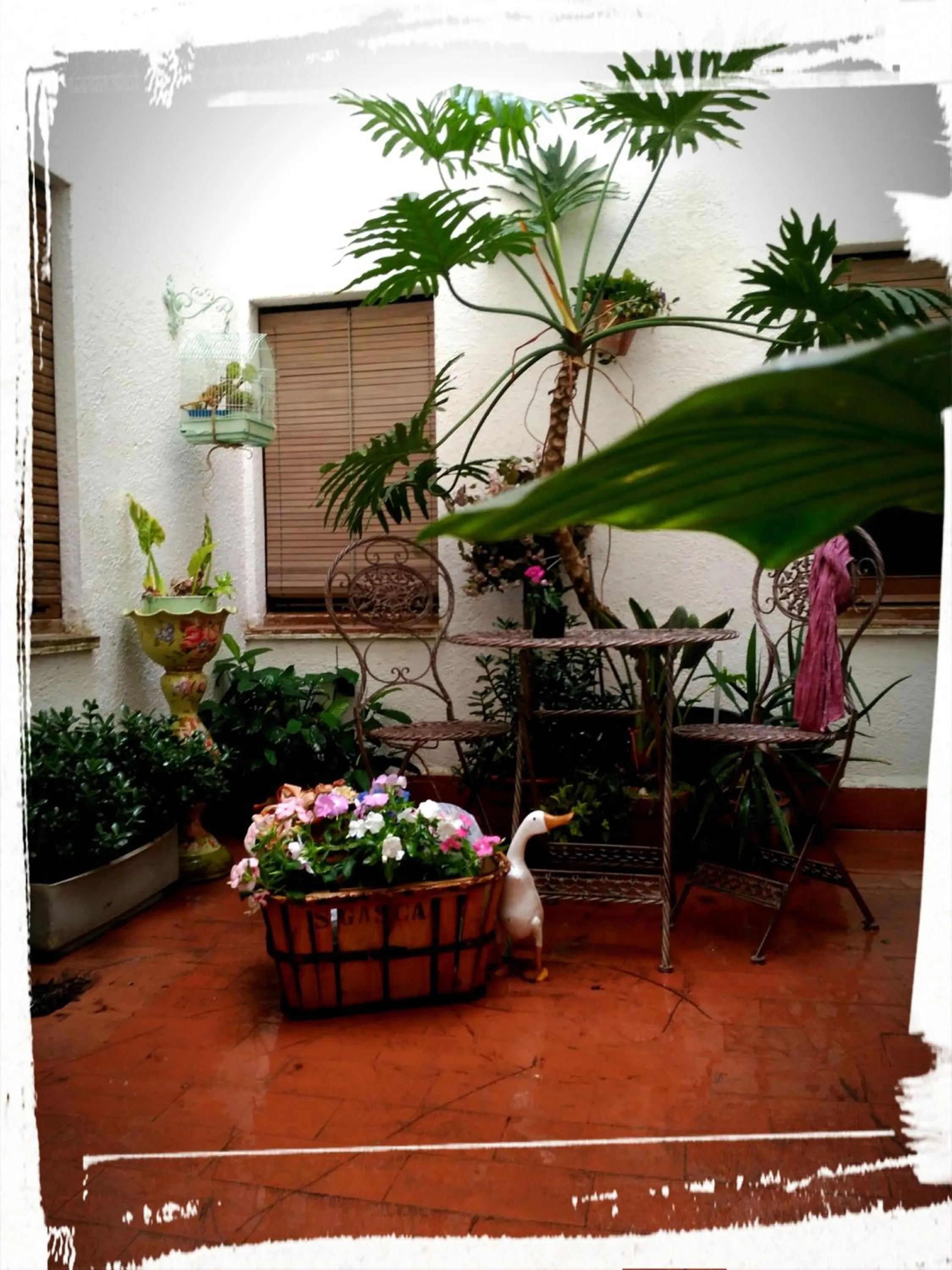 Patio in Hotel Miami