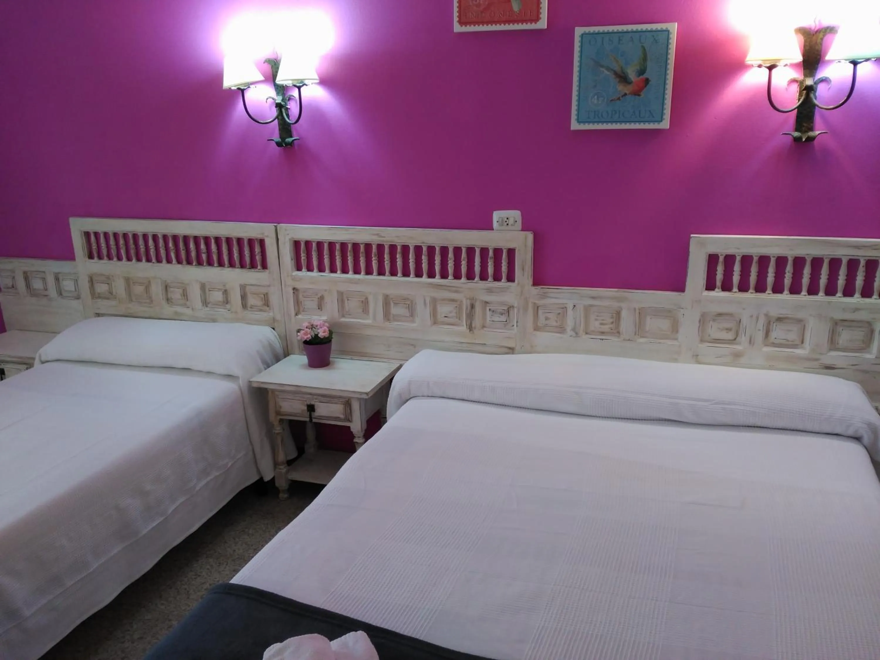 Photo of the whole room, Bed in Hotel Miami