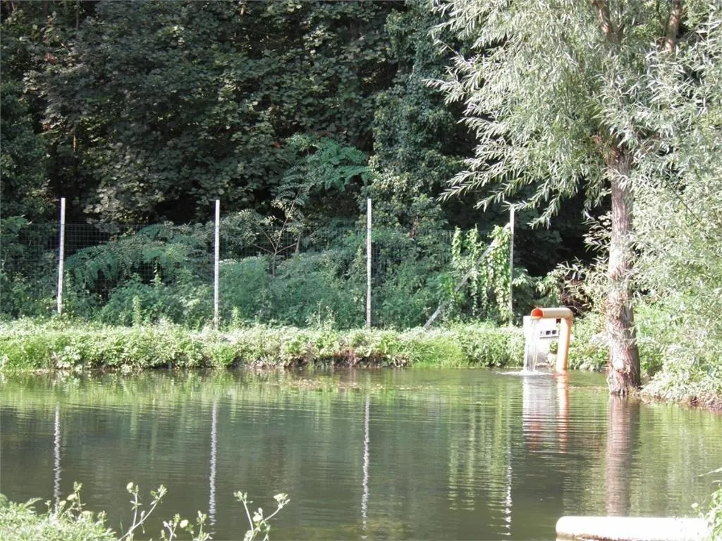Natural landscape in Hotel Bellagio