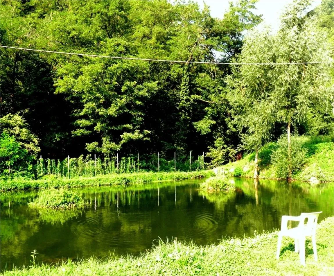 Natural landscape in Hotel Bellagio