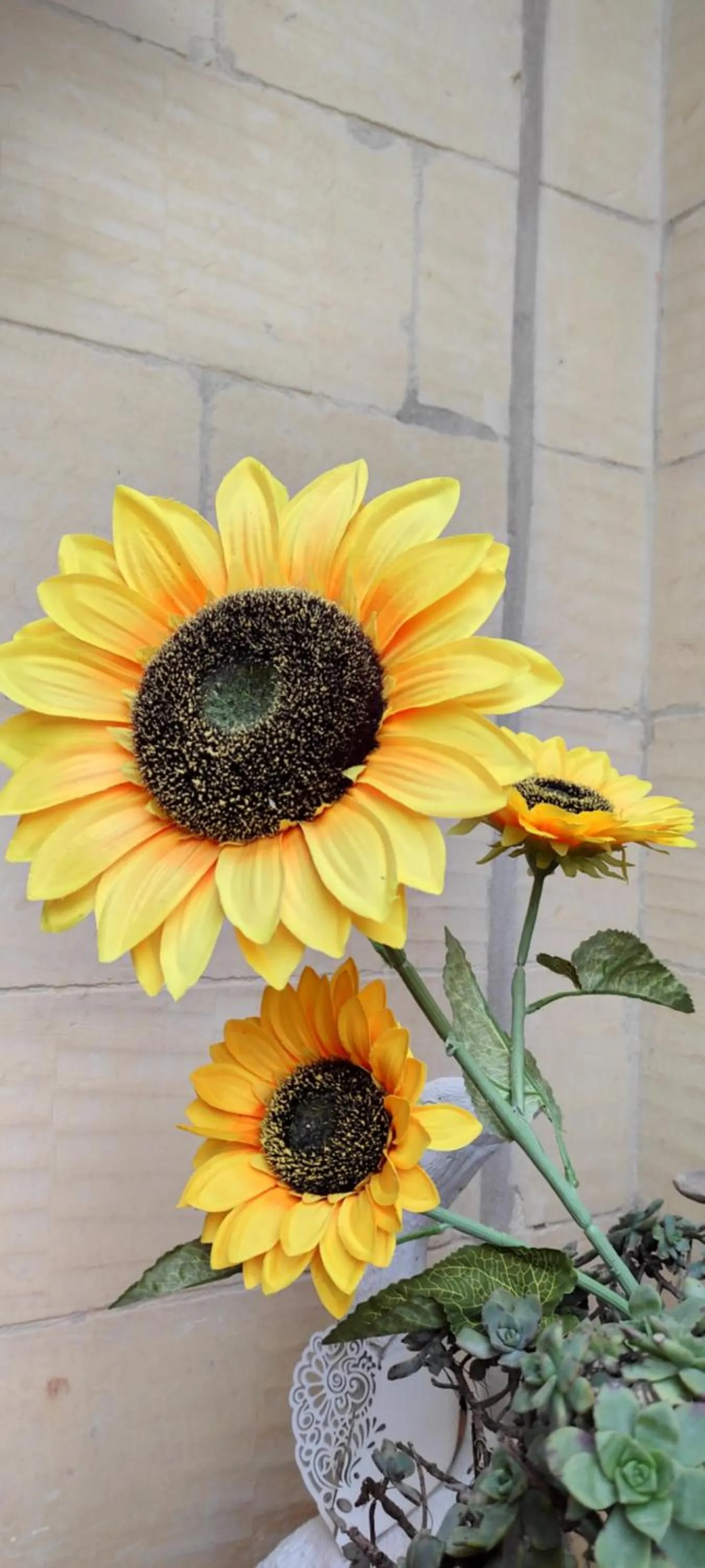 Patio in Gizimina B&B by VeroSole