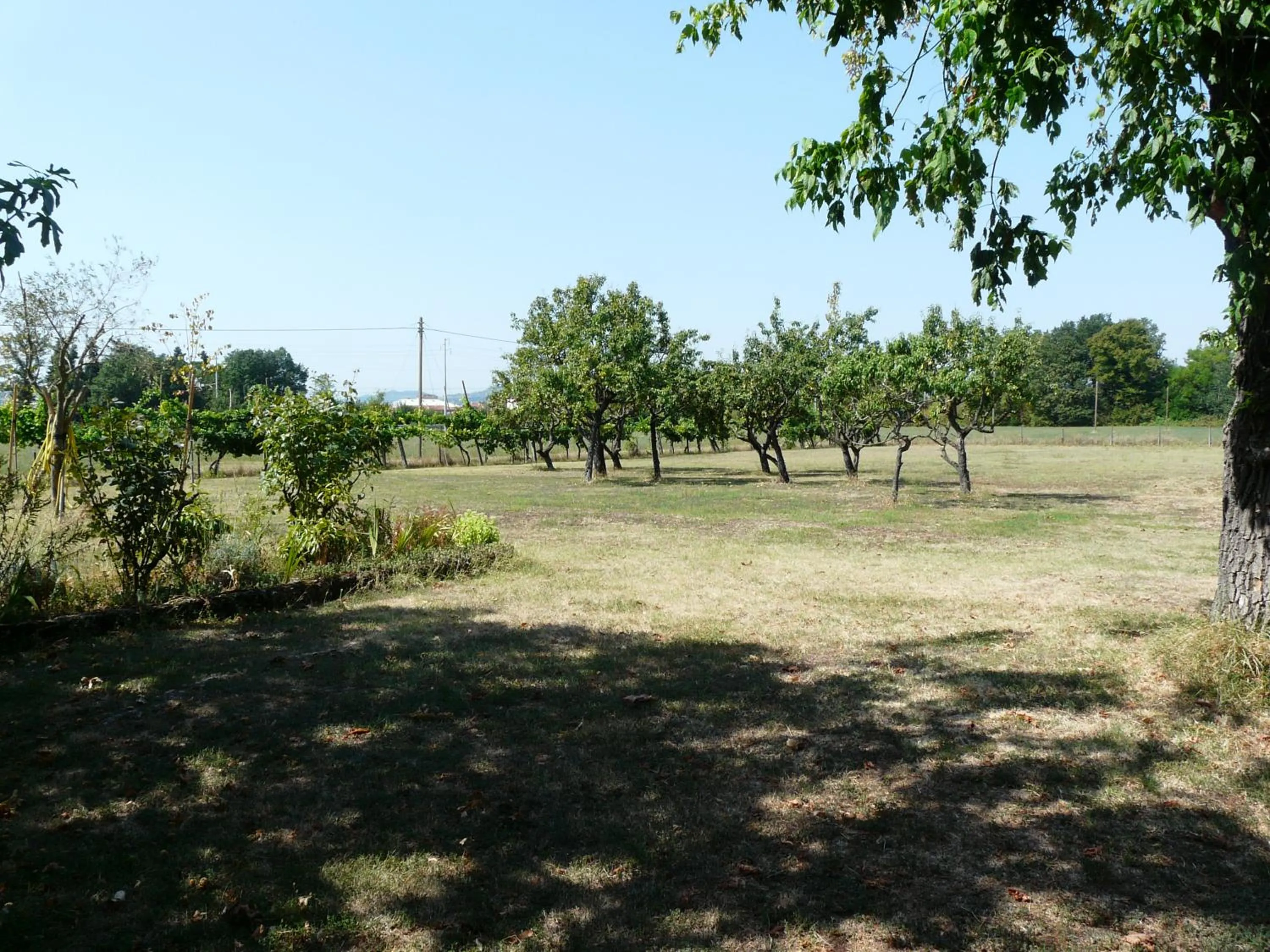 Garden in B&B Villino Margherita