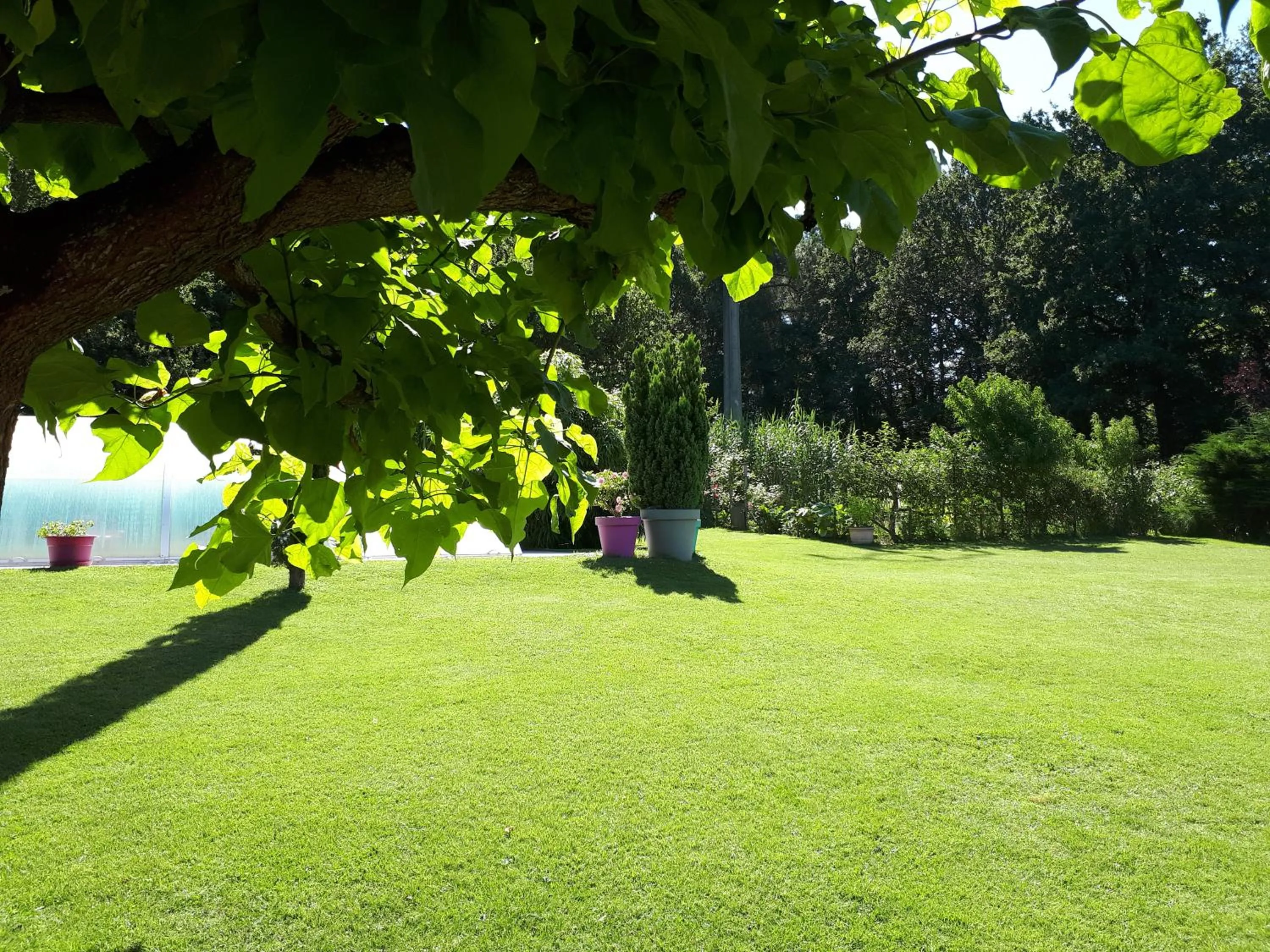 Garden in Chambre D'hôte De La Rotterie