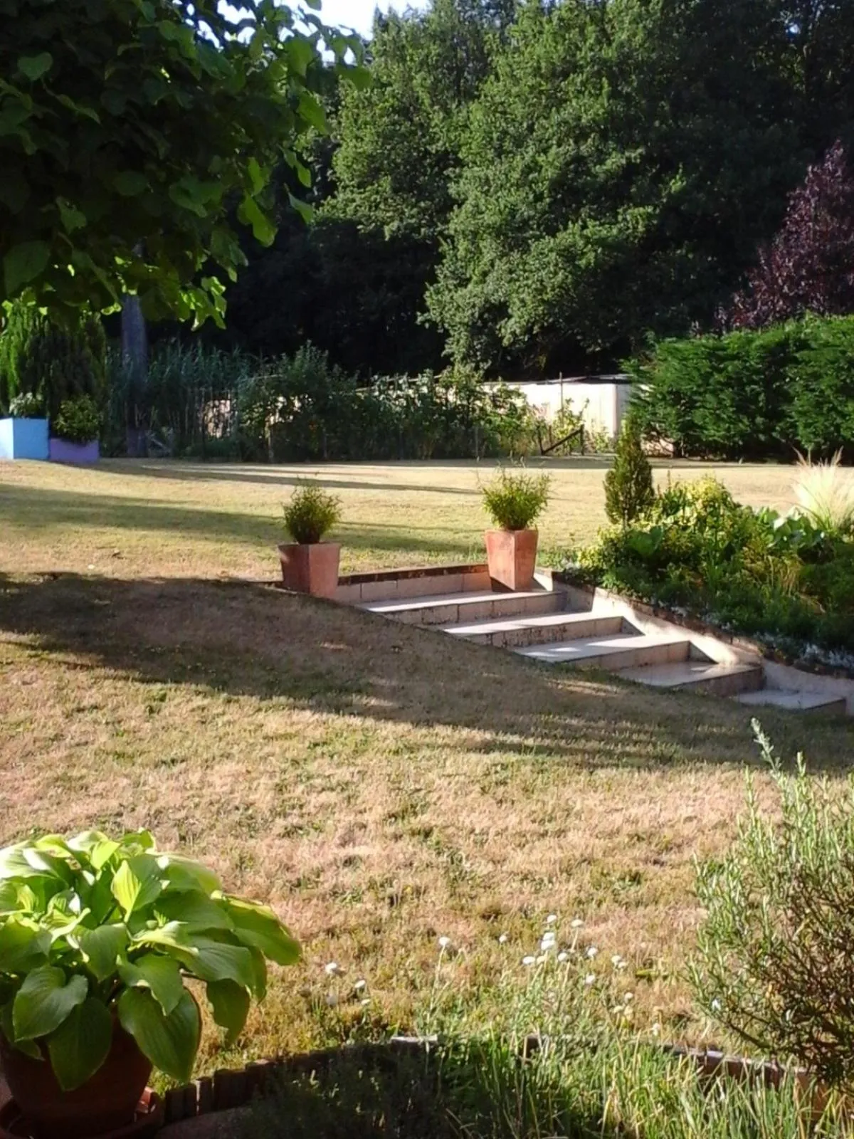 Garden in Chambre D'hôte De La Rotterie