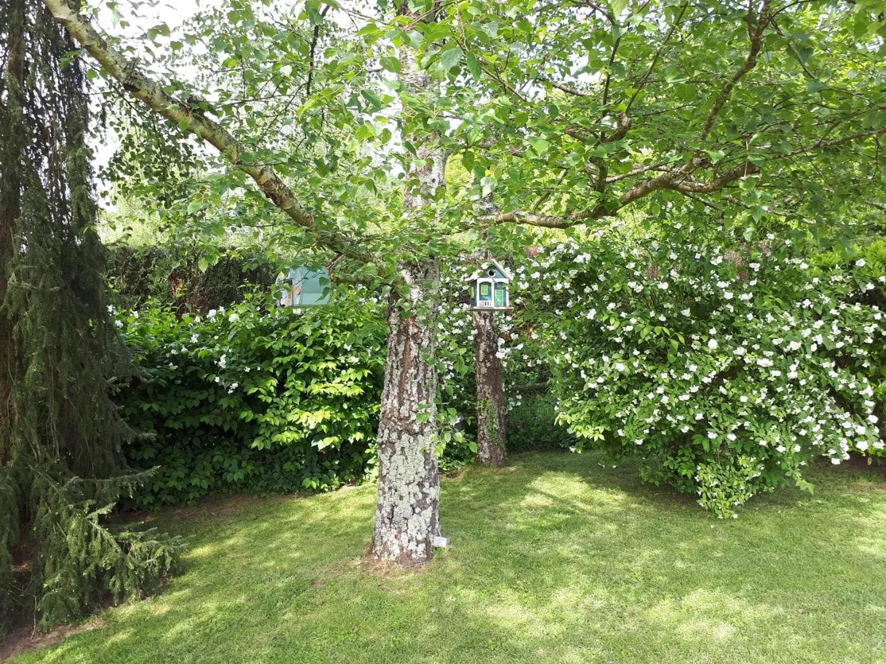 Garden in Chambre D'hôte De La Rotterie