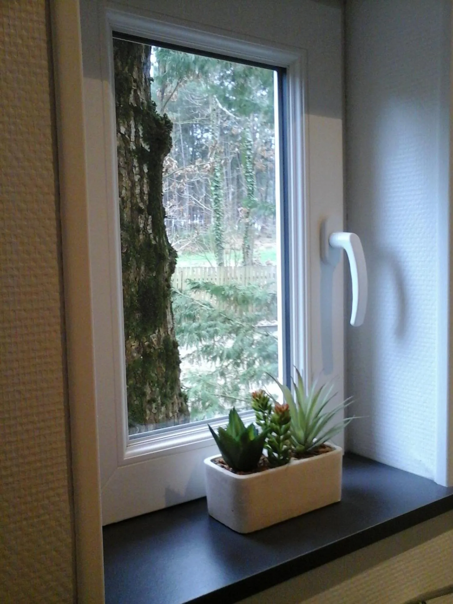 Garden view in Chambre D'hôte De La Rotterie