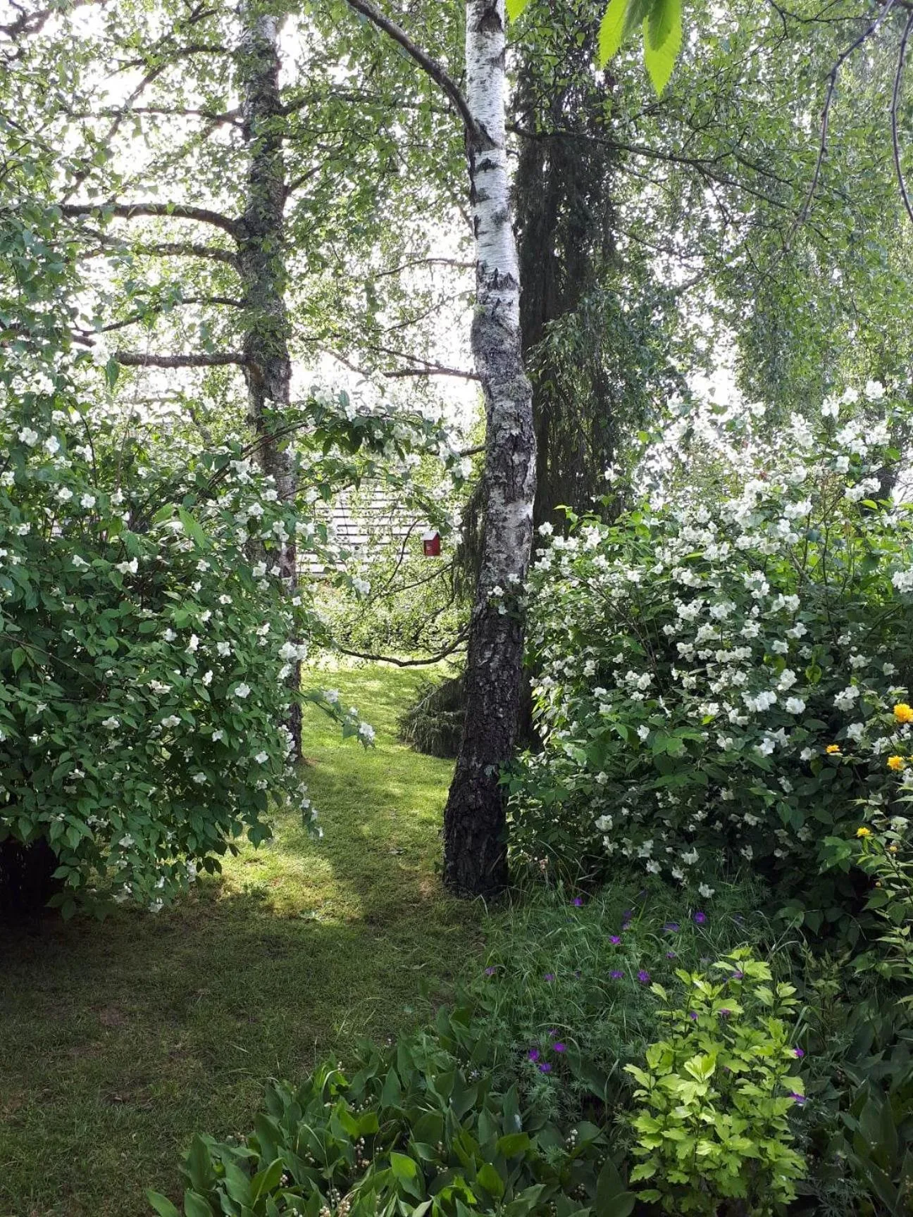 Garden in Chambre D'hôte De La Rotterie