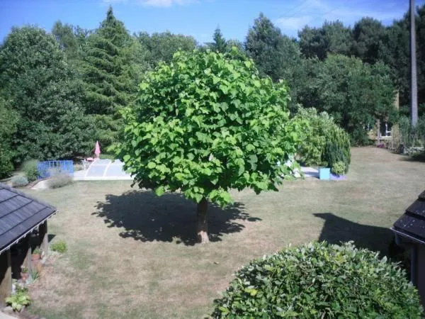Garden view in Chambre D'hôte De La Rotterie
