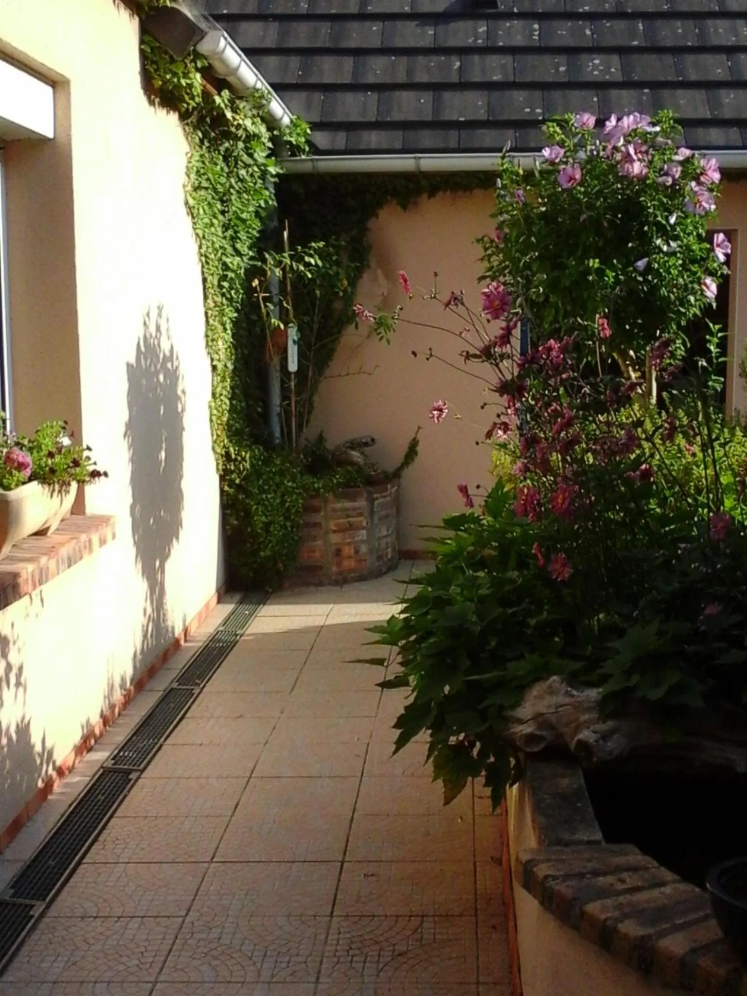 Patio in Chambre D'hôte De La Rotterie