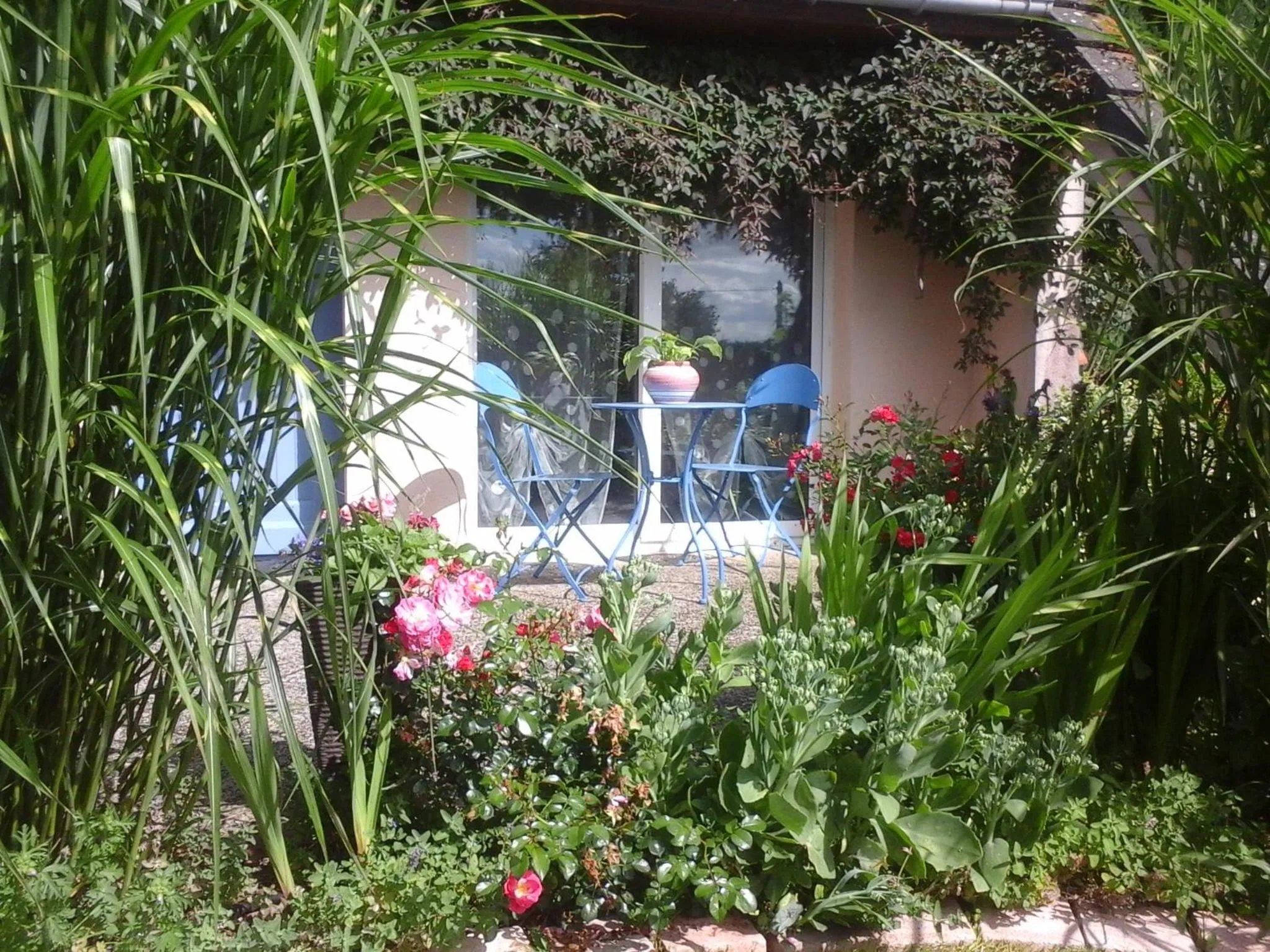 Garden in Chambre D'hôte De La Rotterie