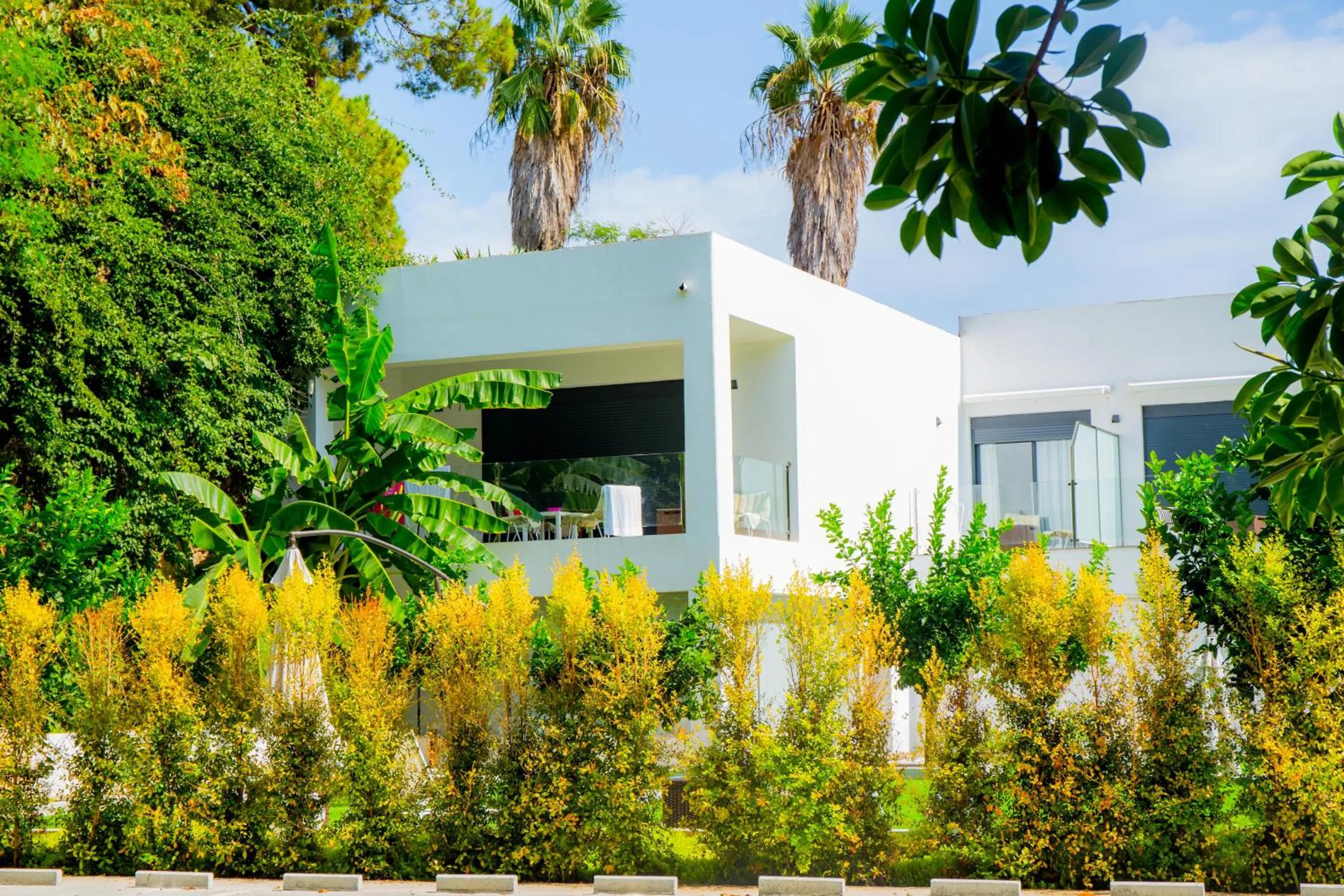 Garden in BLUESEA Dimona Suites