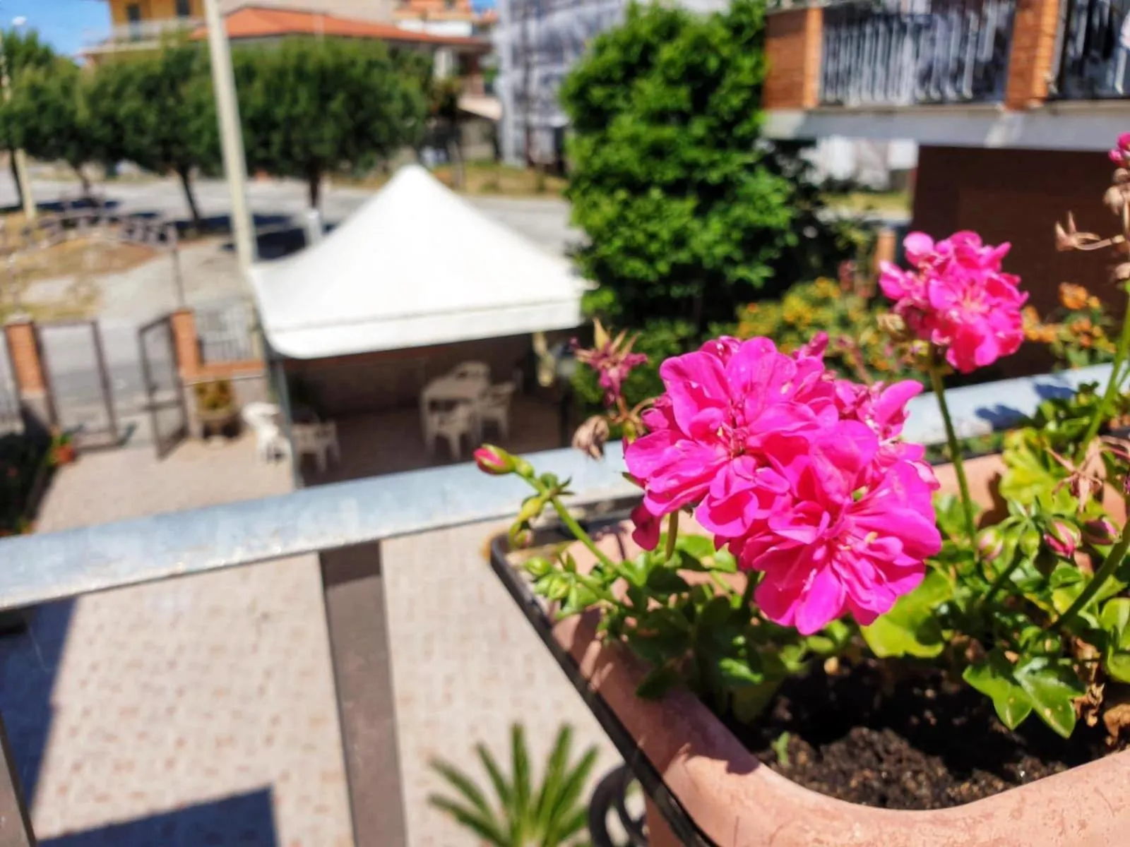 Hotel Ristorante L'Avvenire