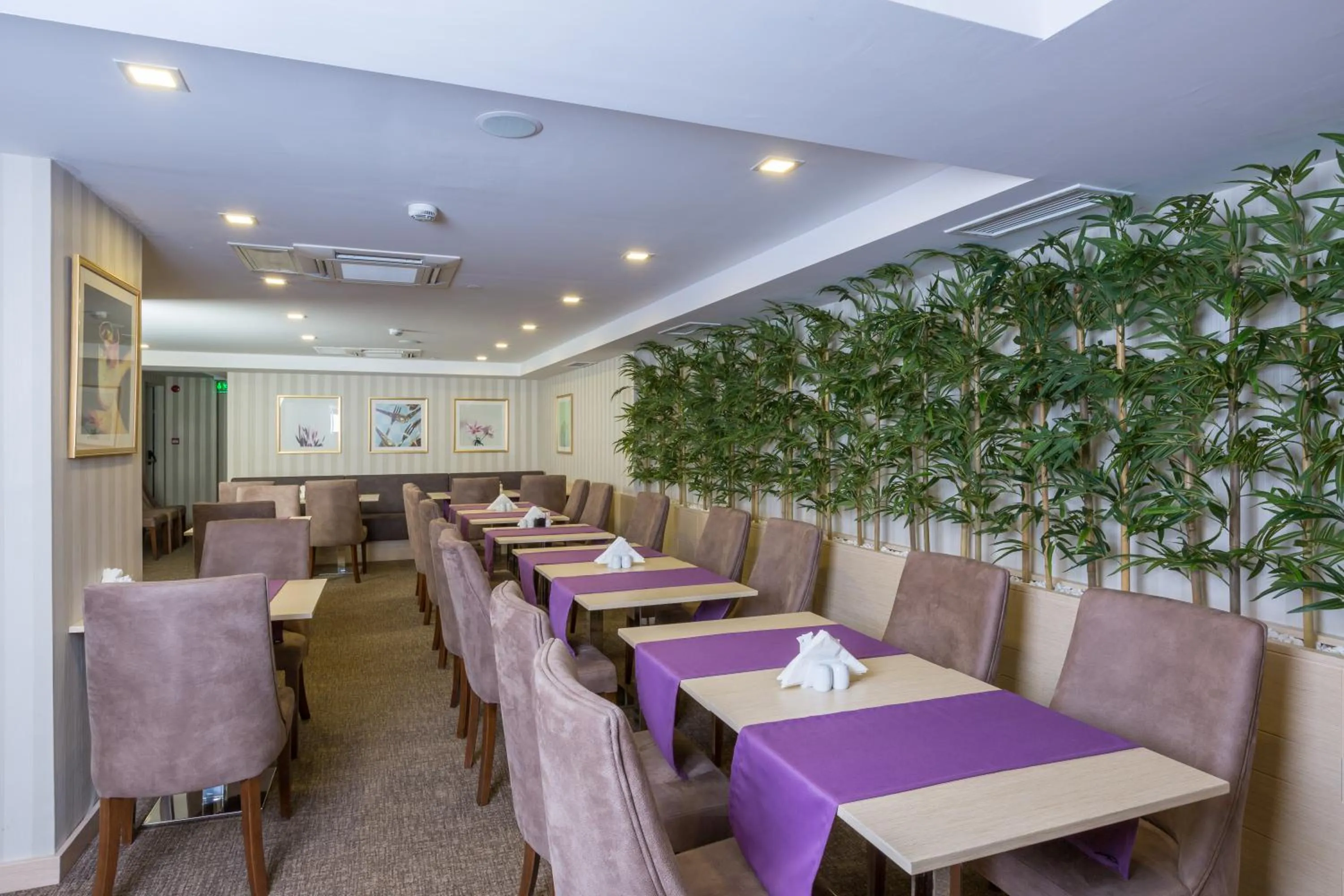 Restaurant/places to eat in Molton Monapart Mecidiyekoy