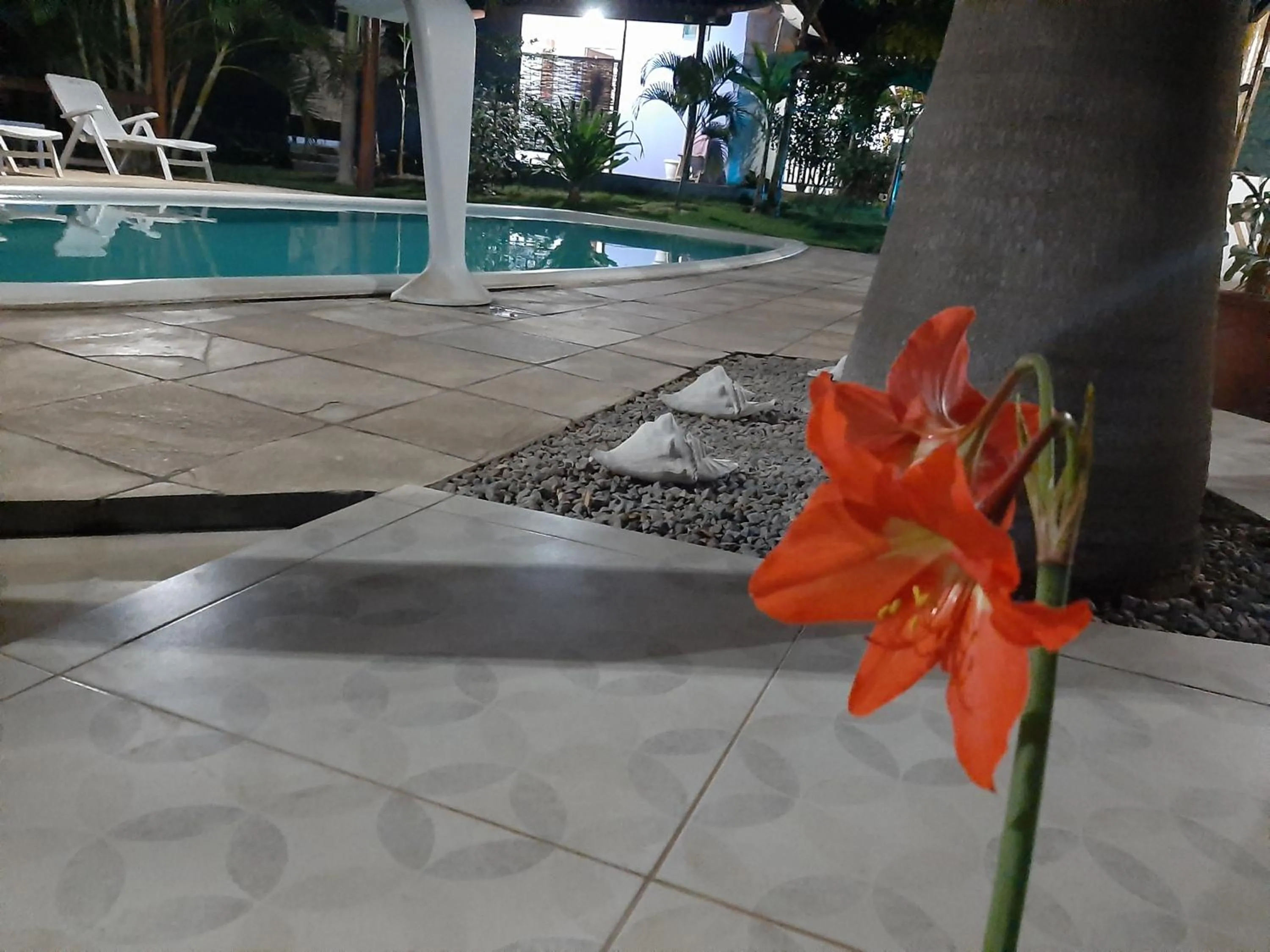 Garden view in Gostoso Sol e Mar Pousada