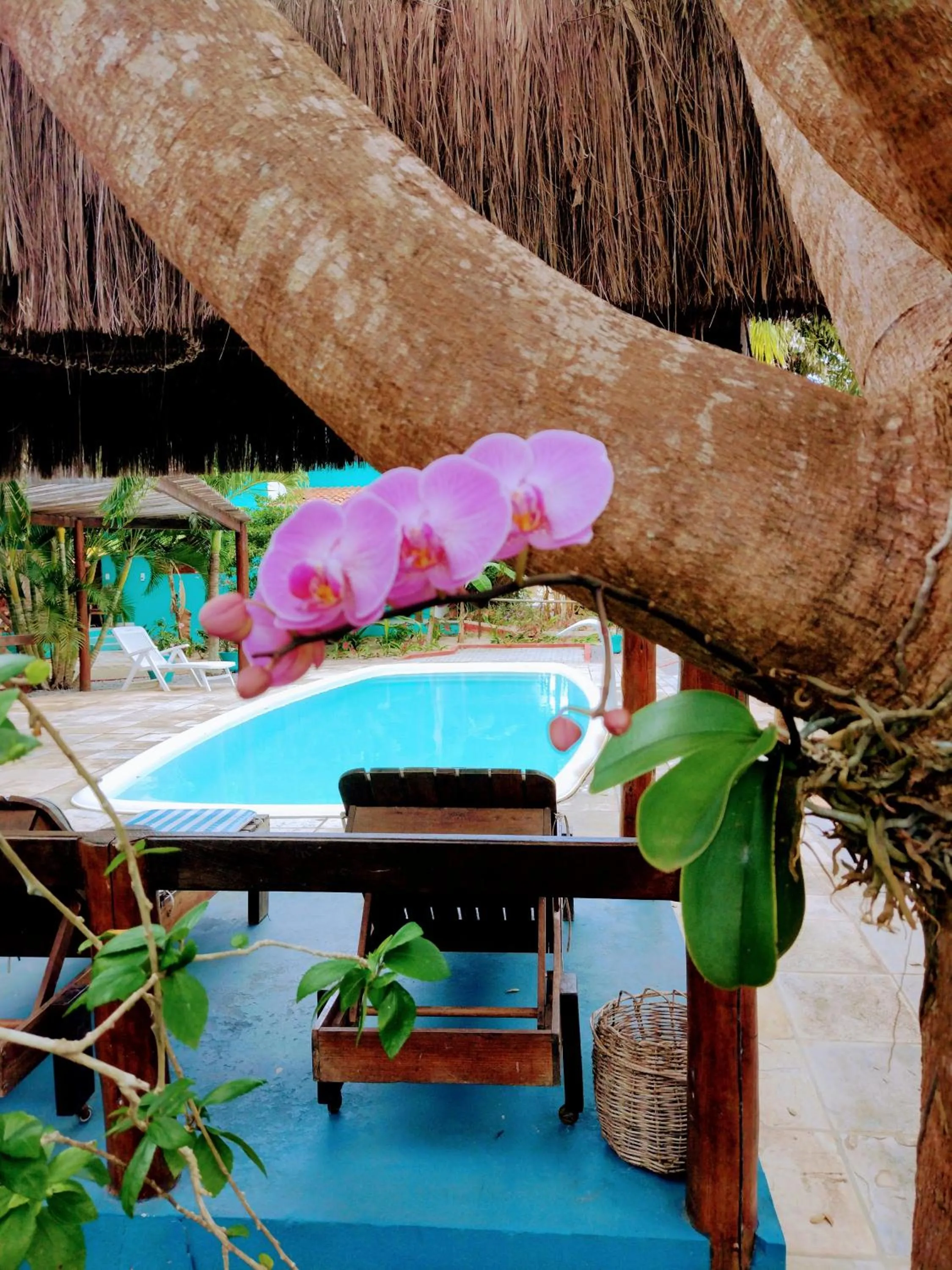 Day in Gostoso Sol e Mar Pousada