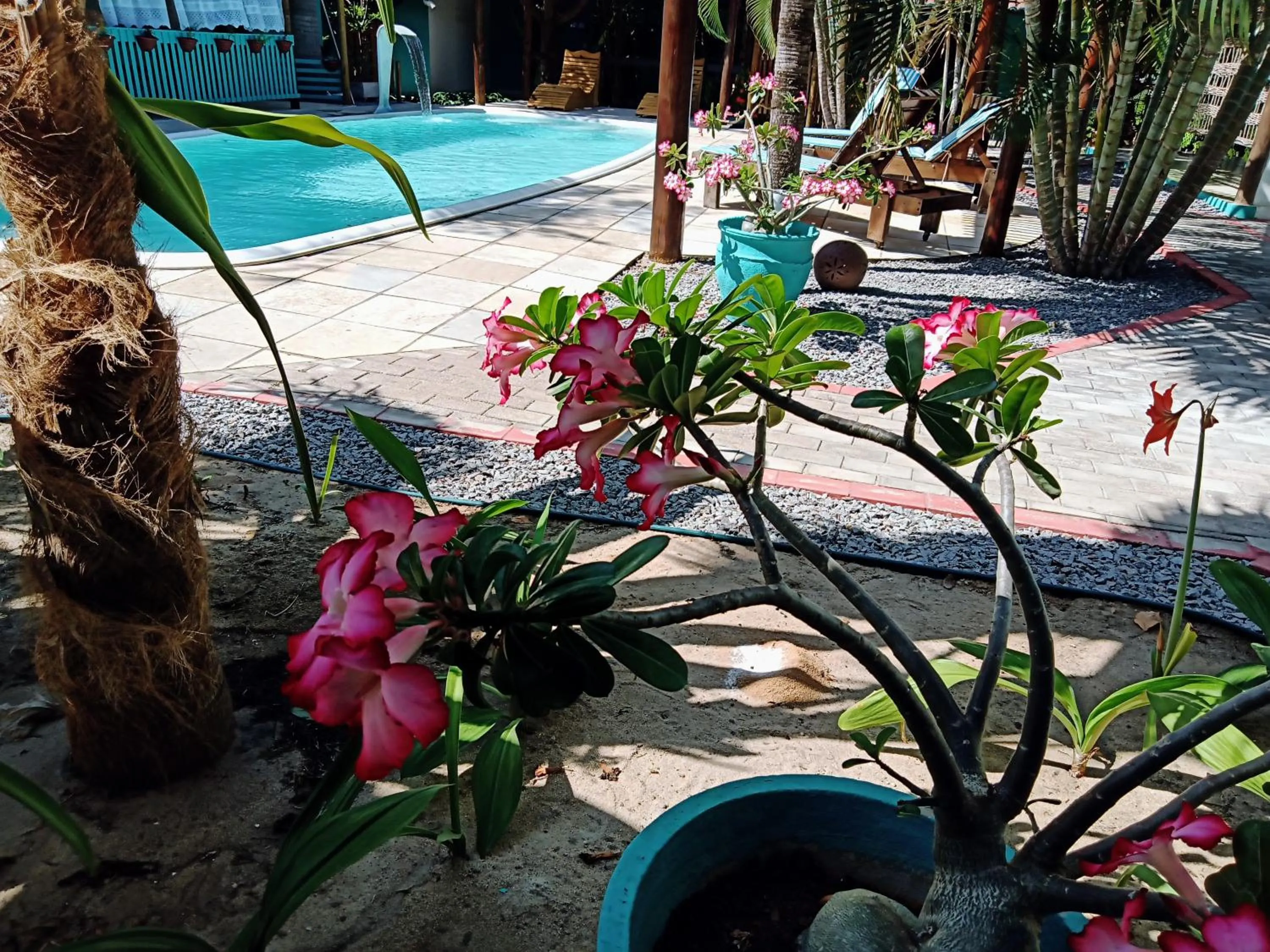 Gostoso Sol e Mar Pousada