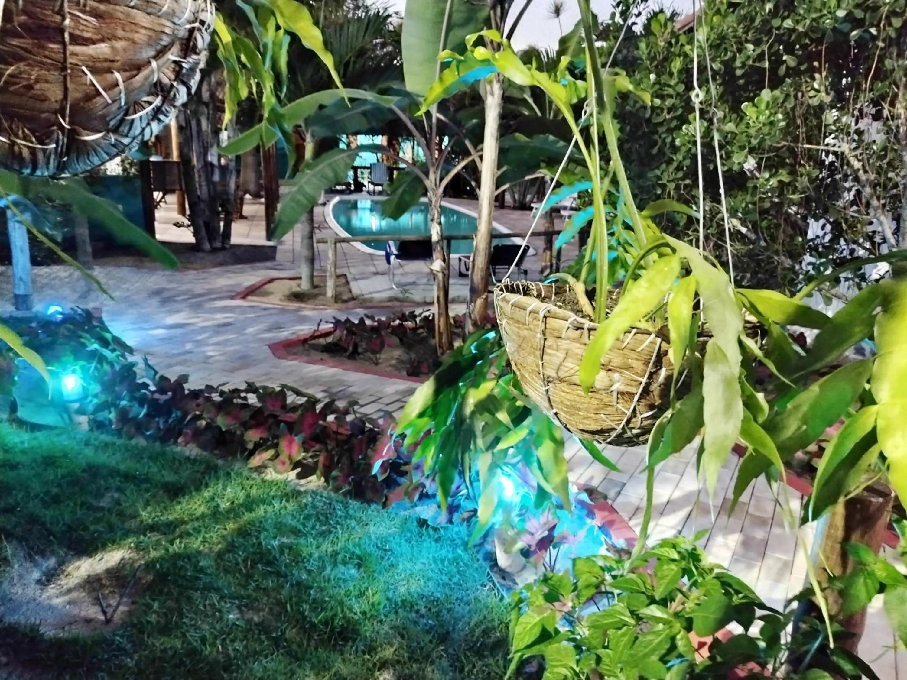 Garden in Gostoso Sol e Mar Pousada