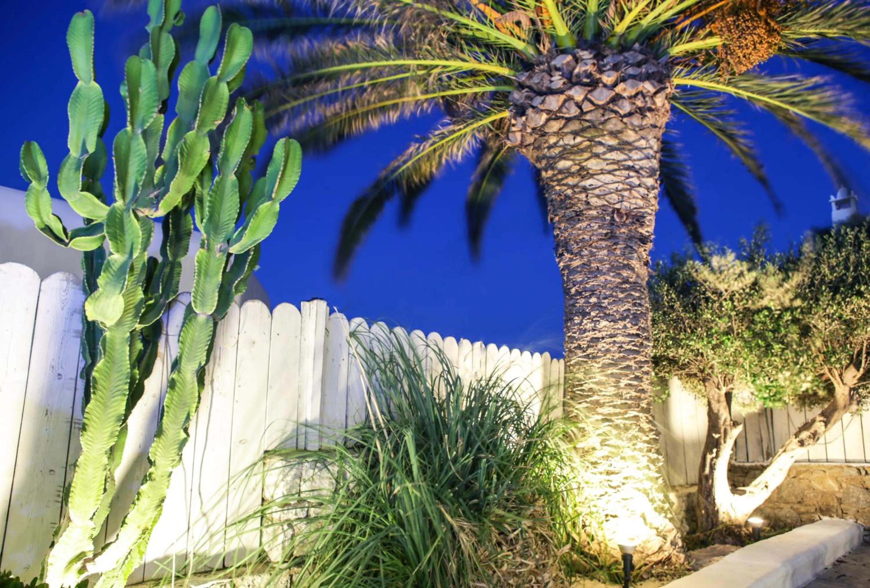 Area and facilities in Anamar Blu