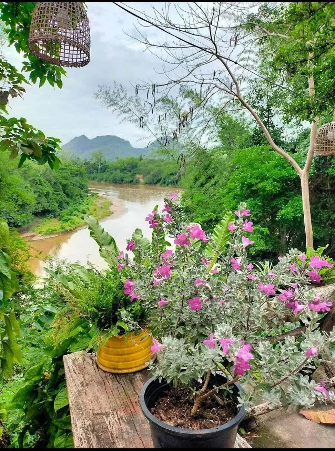 River view in Baanmai Phaipa House
