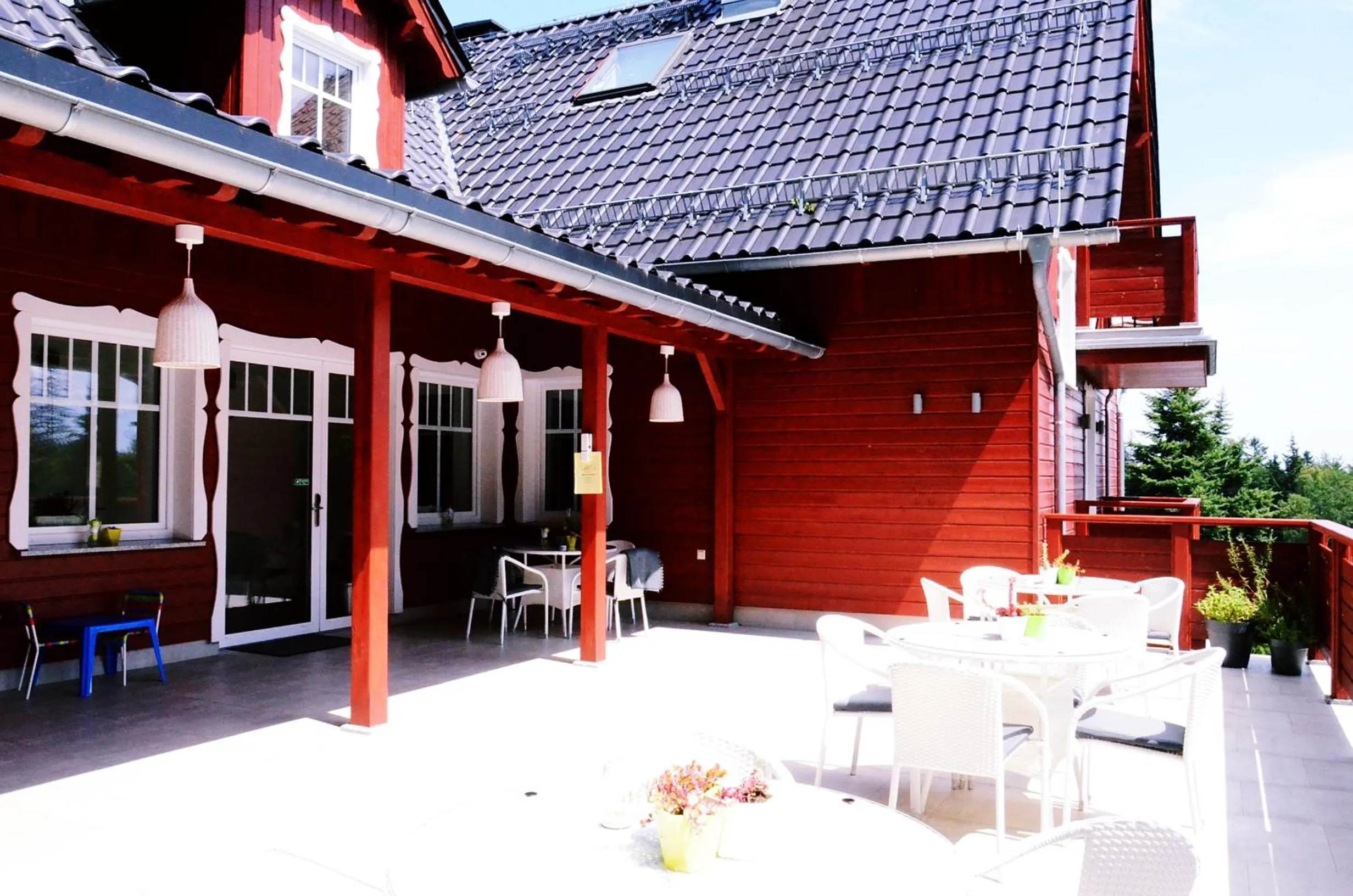 Balcony/Terrace in Hotel Willa Odkrywców