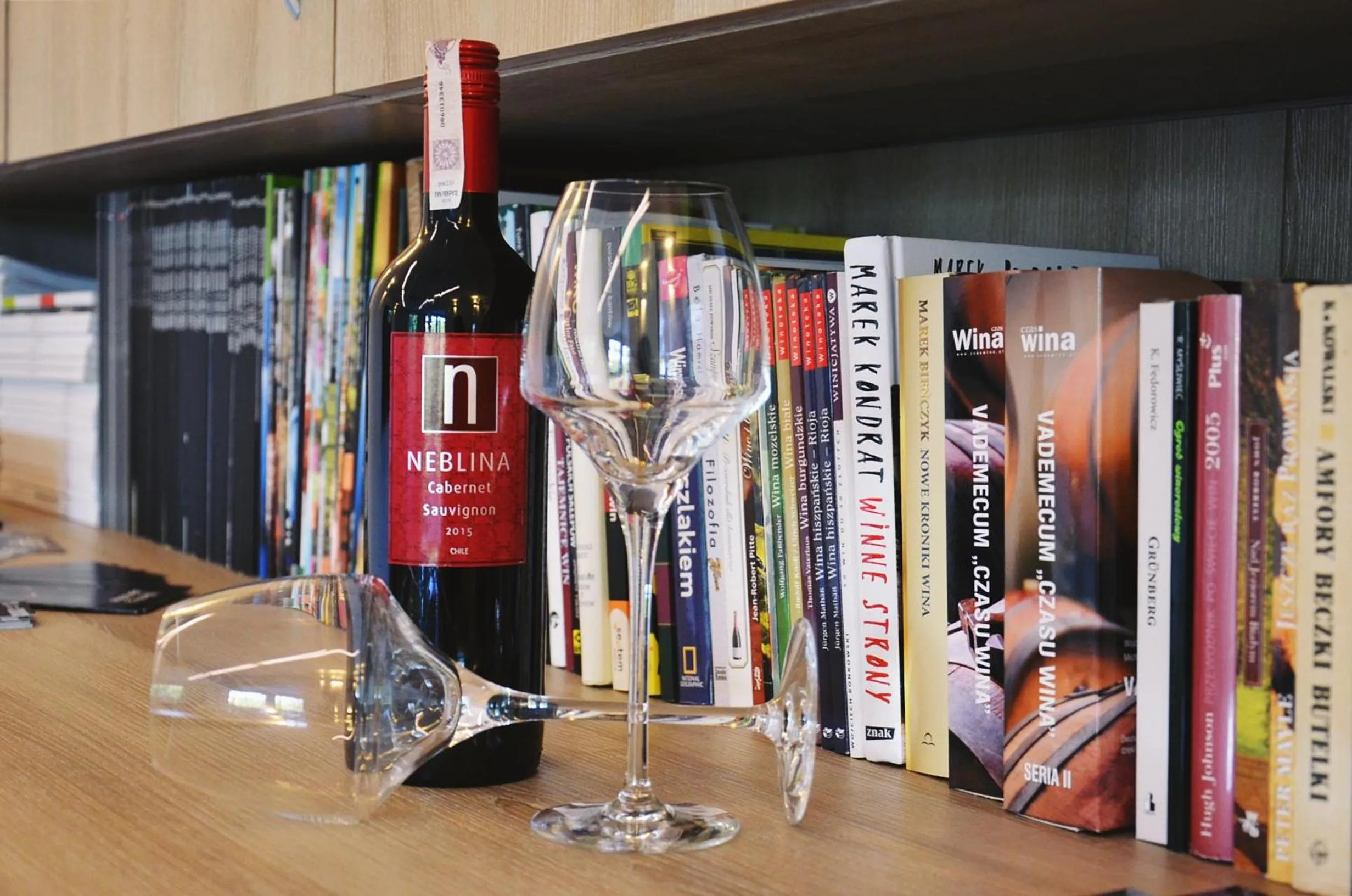 Communal lounge/ TV room in Hotel Willa Odkrywców