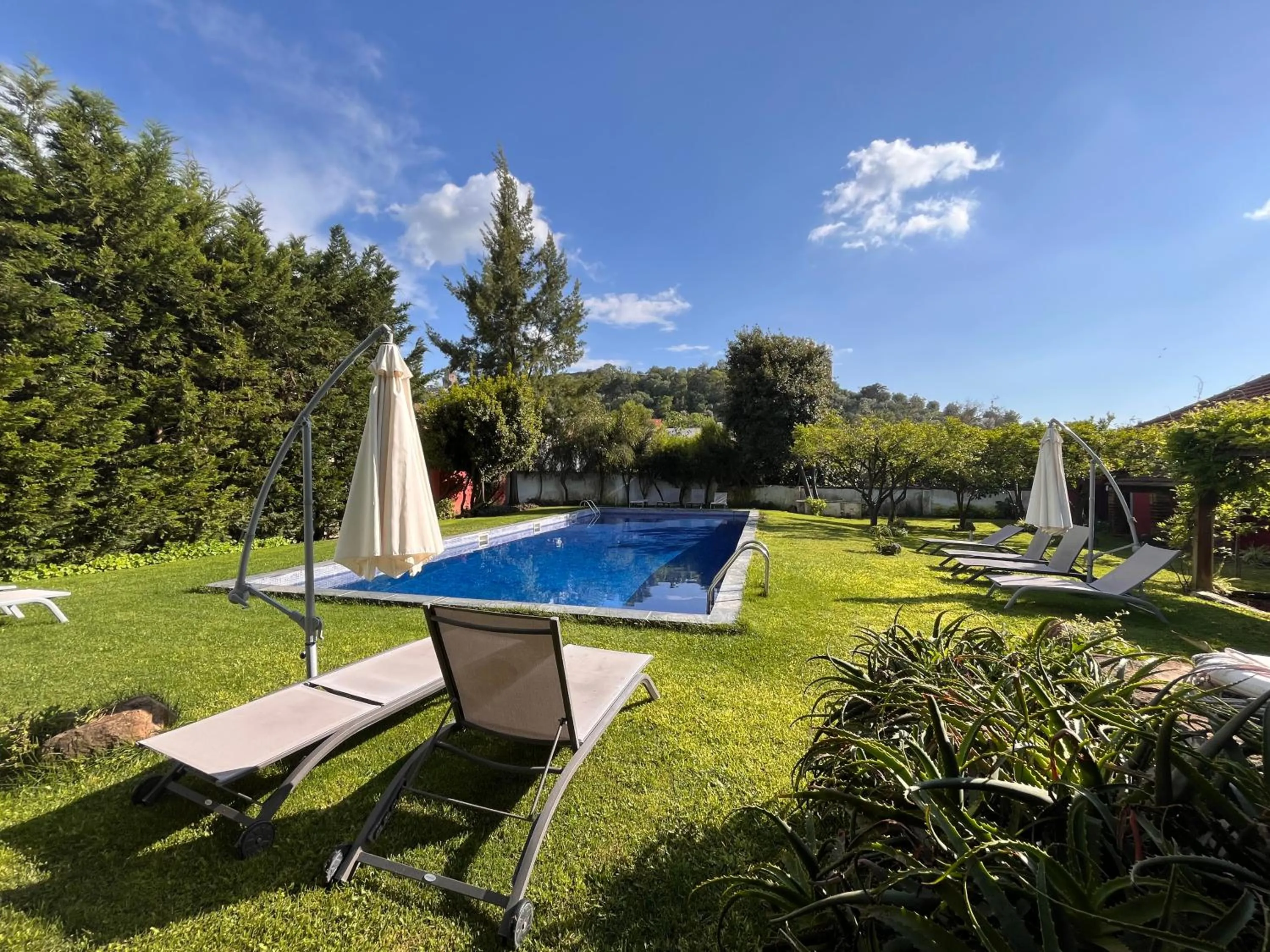 Swimming pool in Palacete da Real Companhia do Cacau - Royal Cocoa Palace