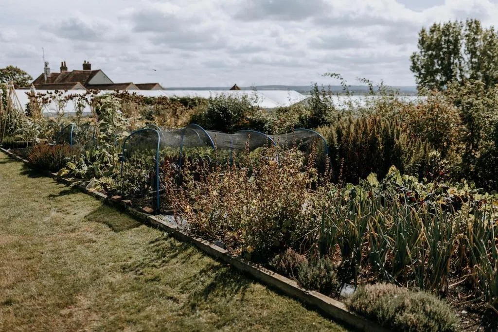 Garden in The Ferry House