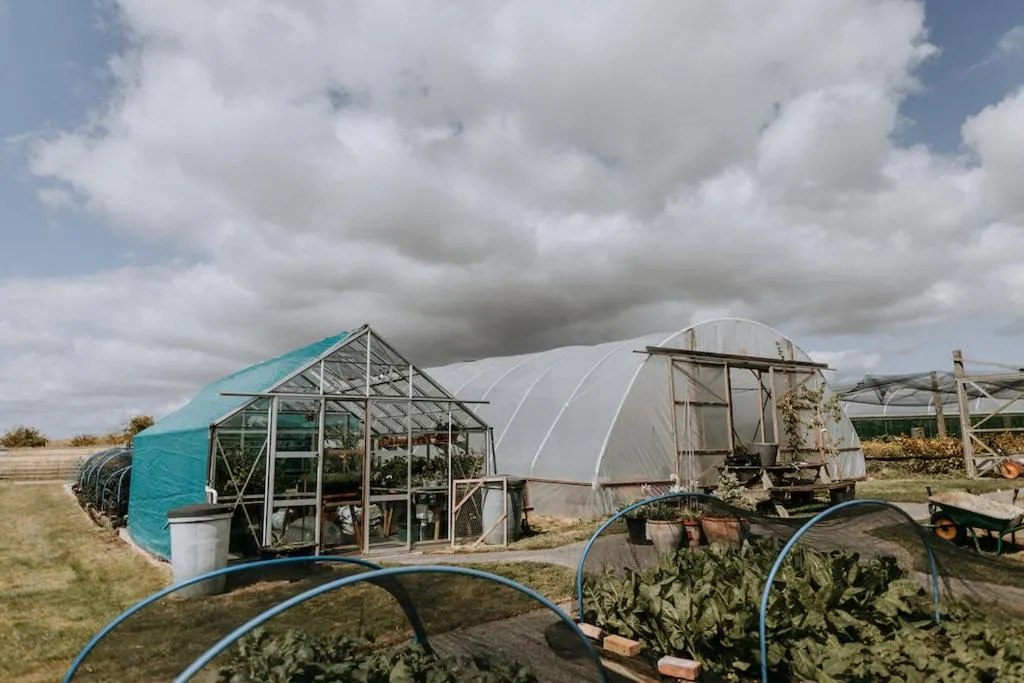 Garden in The Ferry House