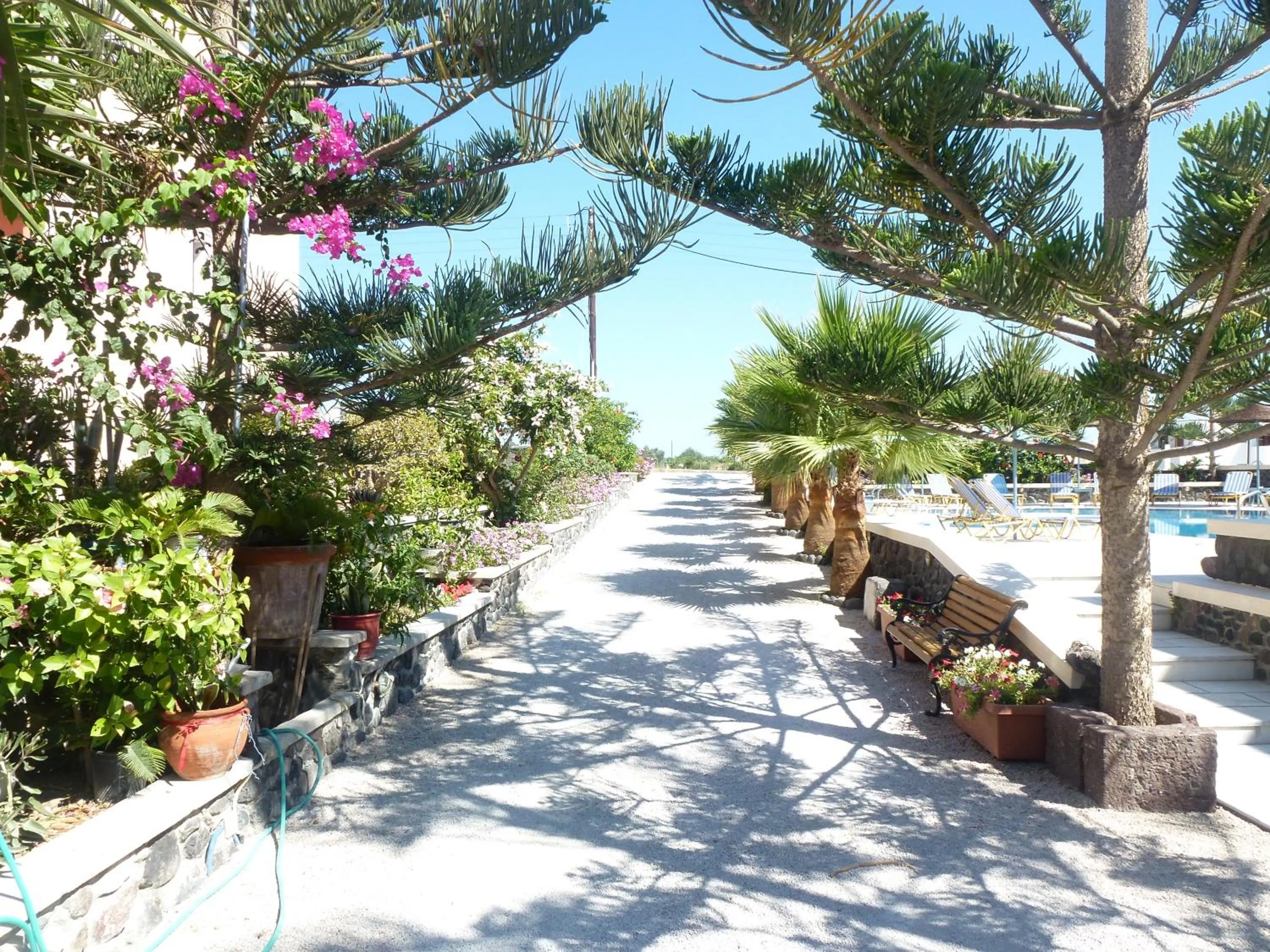 Patio in Castro Hotel