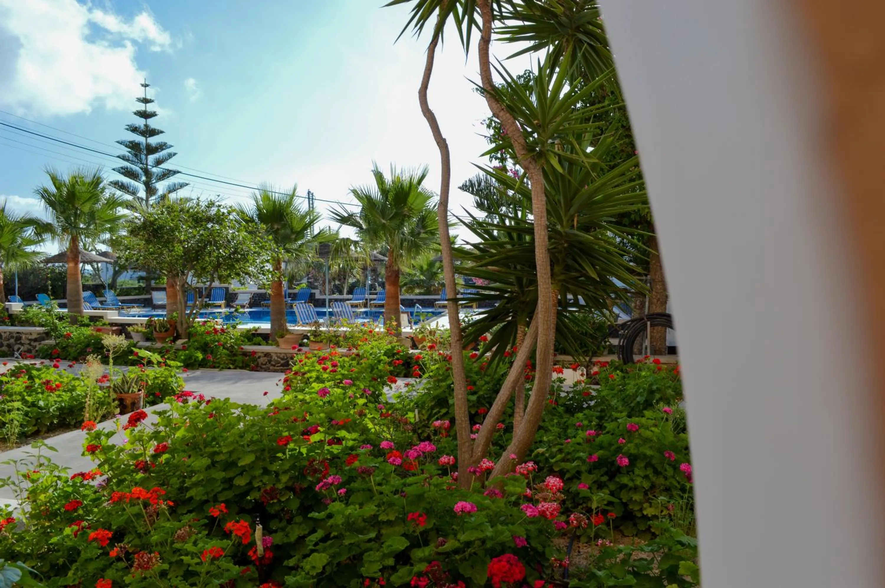 Spring in Castro Hotel