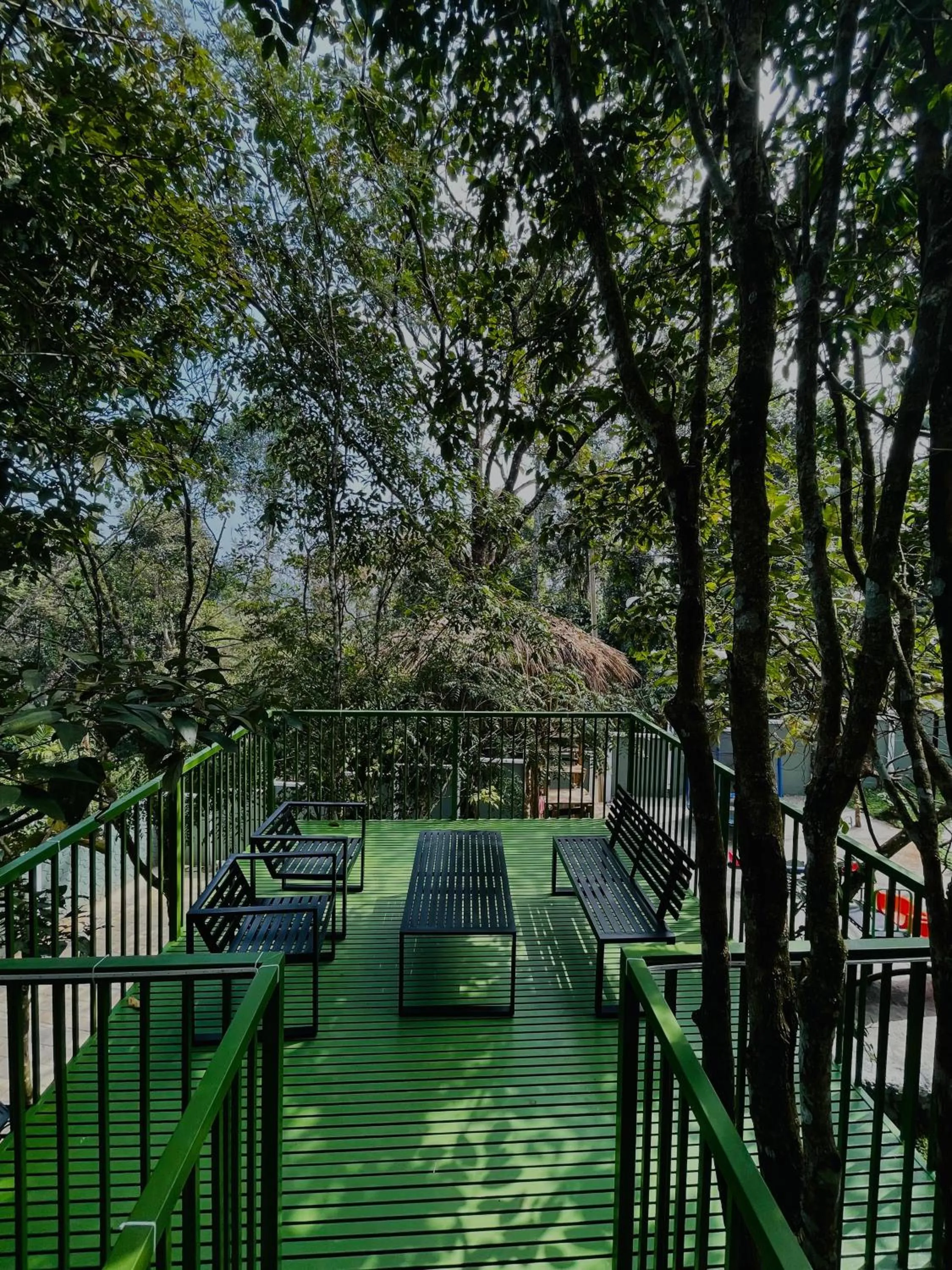 Hayashi Resort
