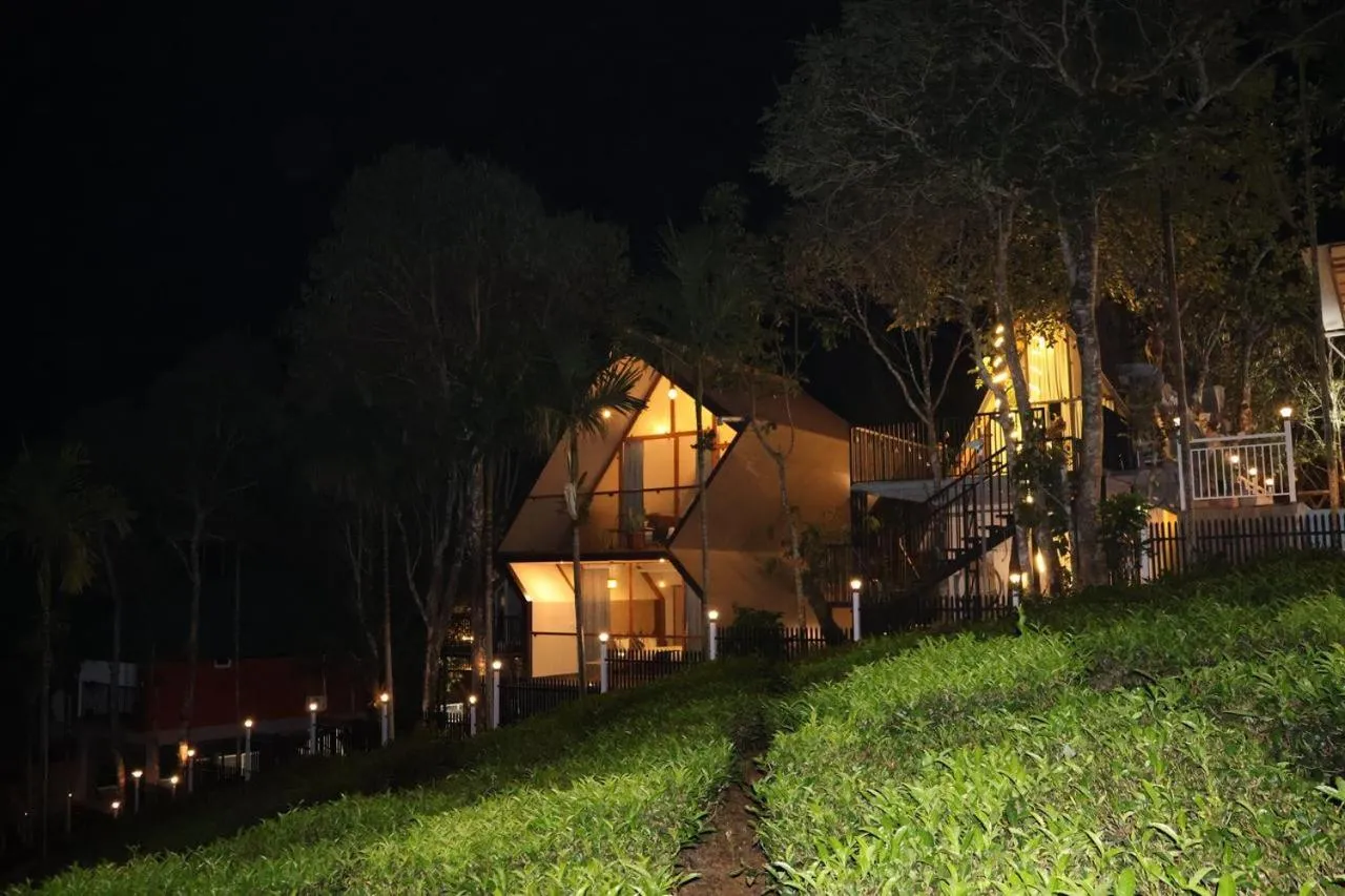 Night in Hayashi Resort