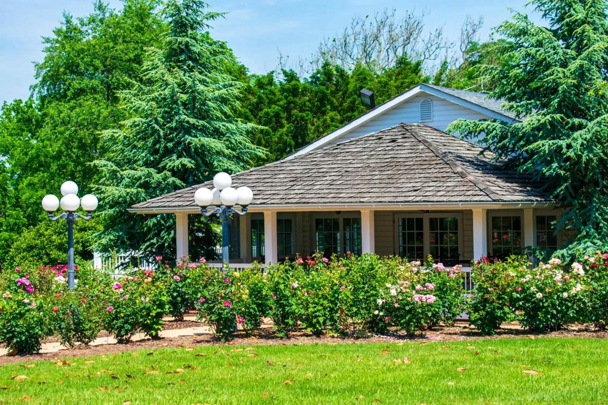 Garden in Antrim 1844