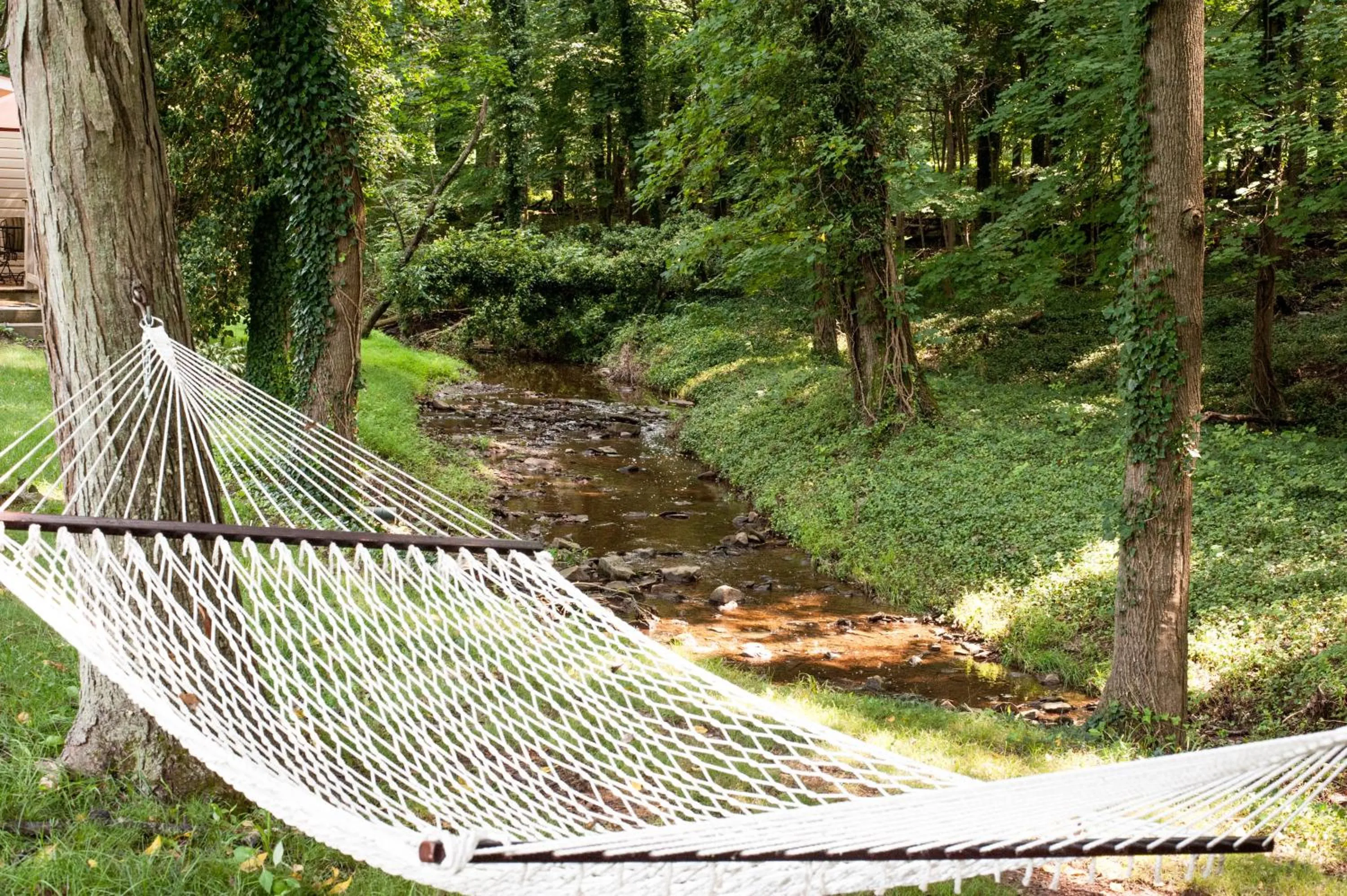 Natural landscape in Antrim 1844