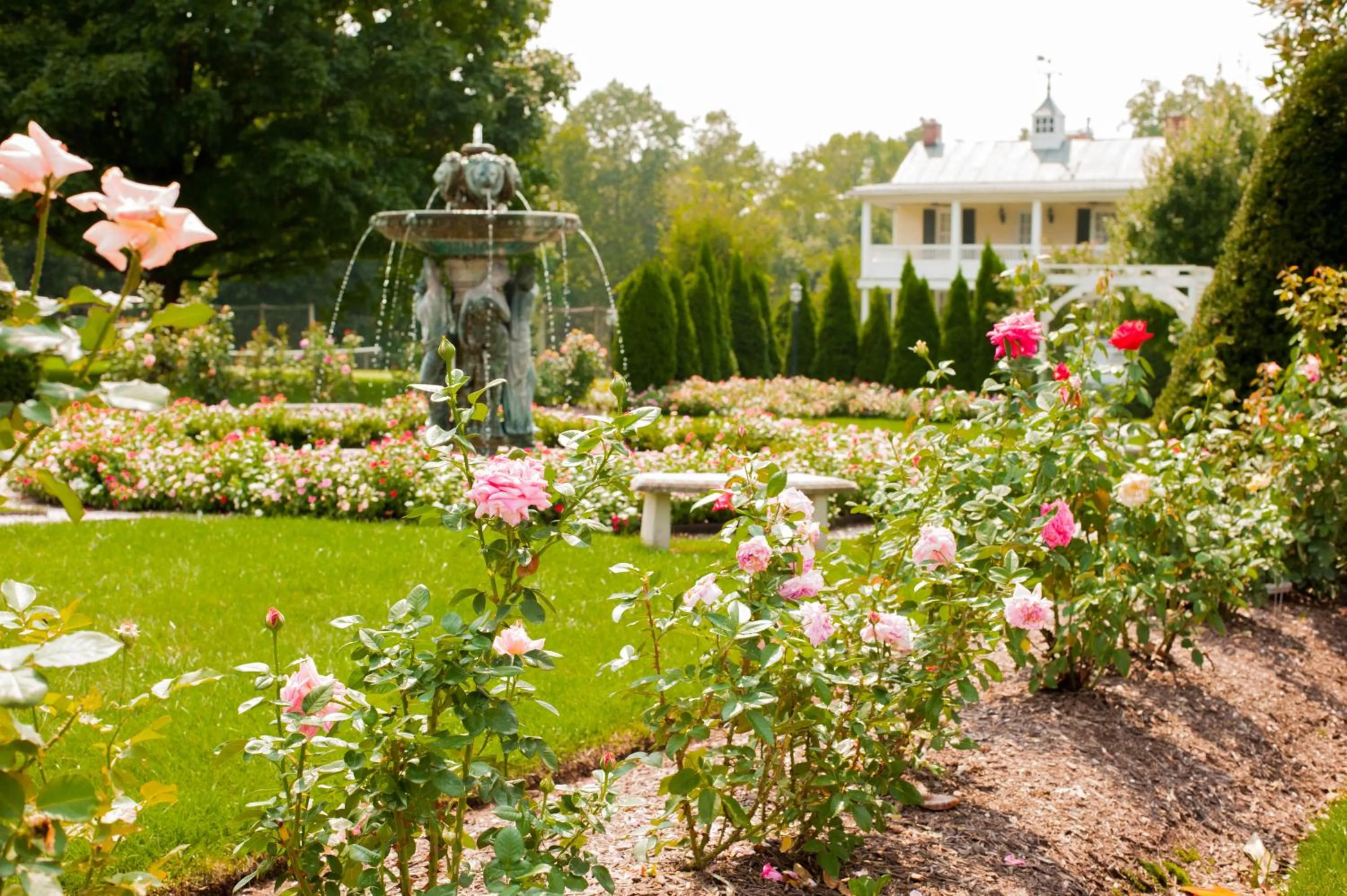 Garden in Antrim 1844