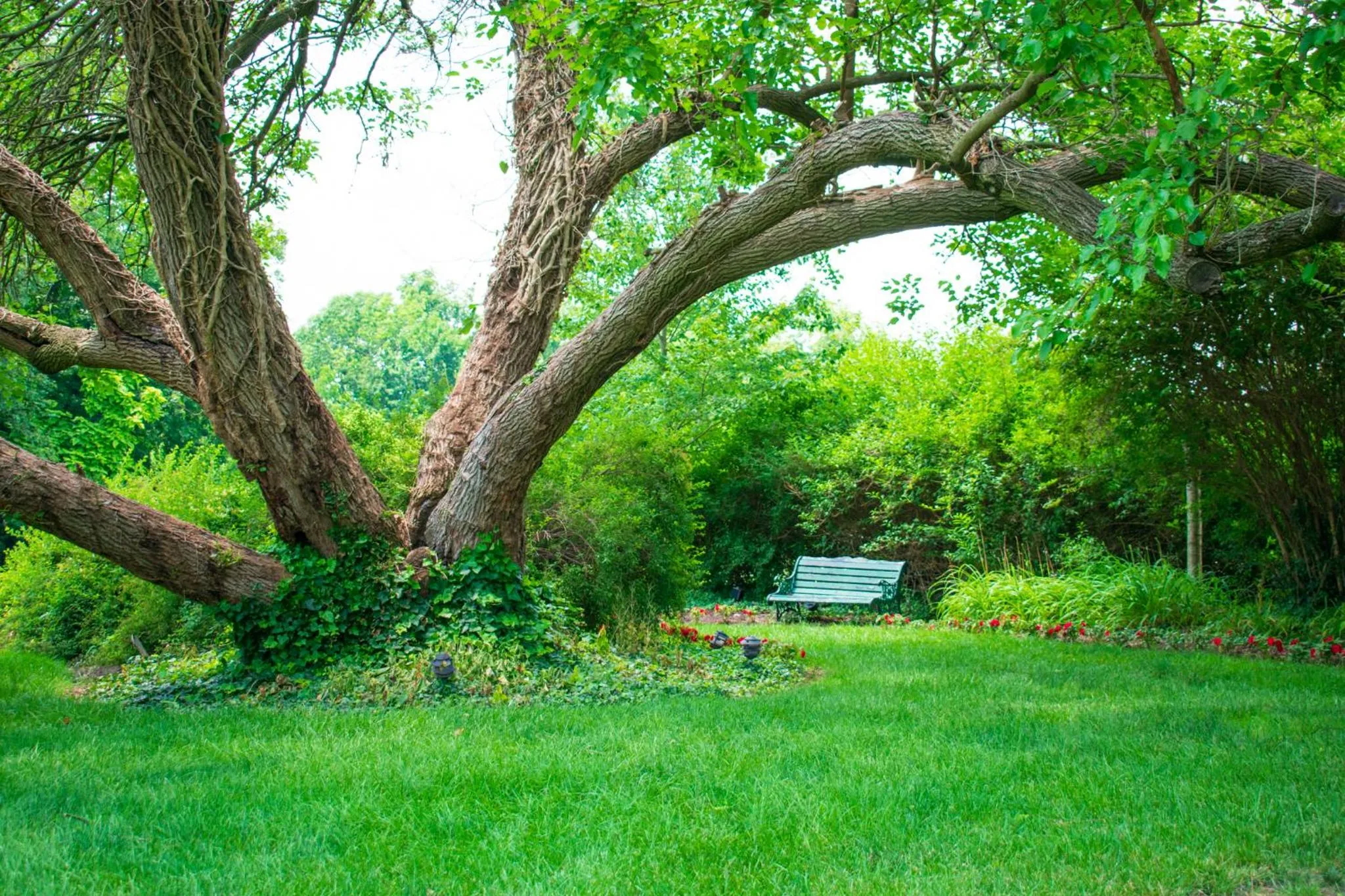 Garden in Antrim 1844