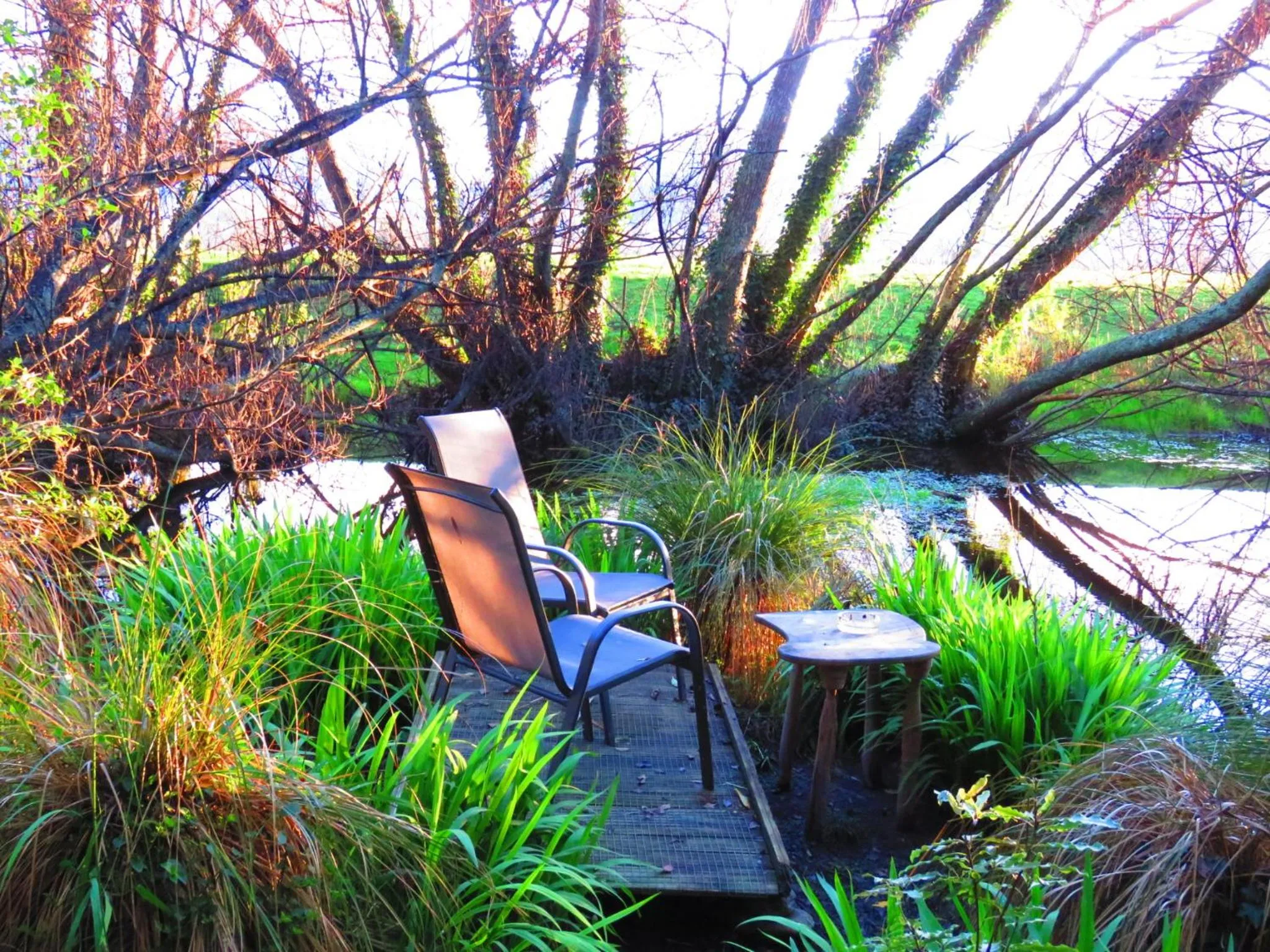 Garden in Shady Rest Bed & Breakfast