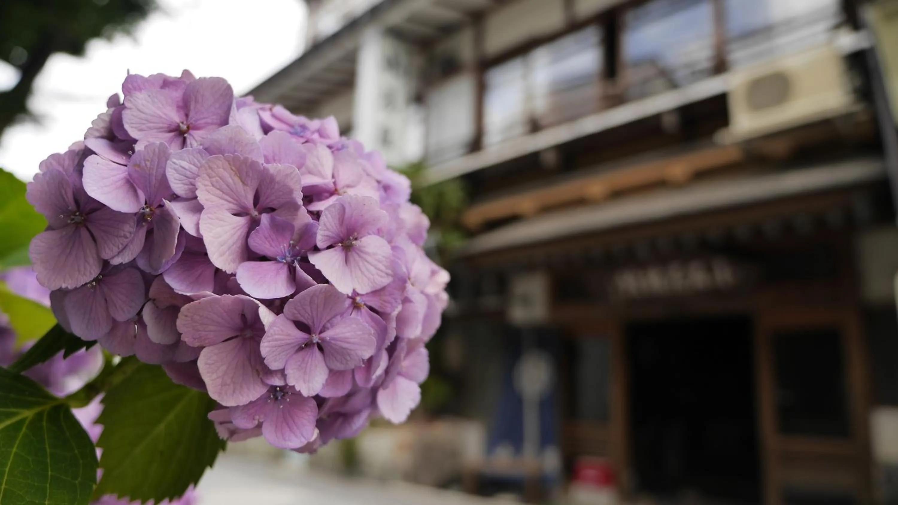 Property building in Shibu Onsen Koishiya Ryokan