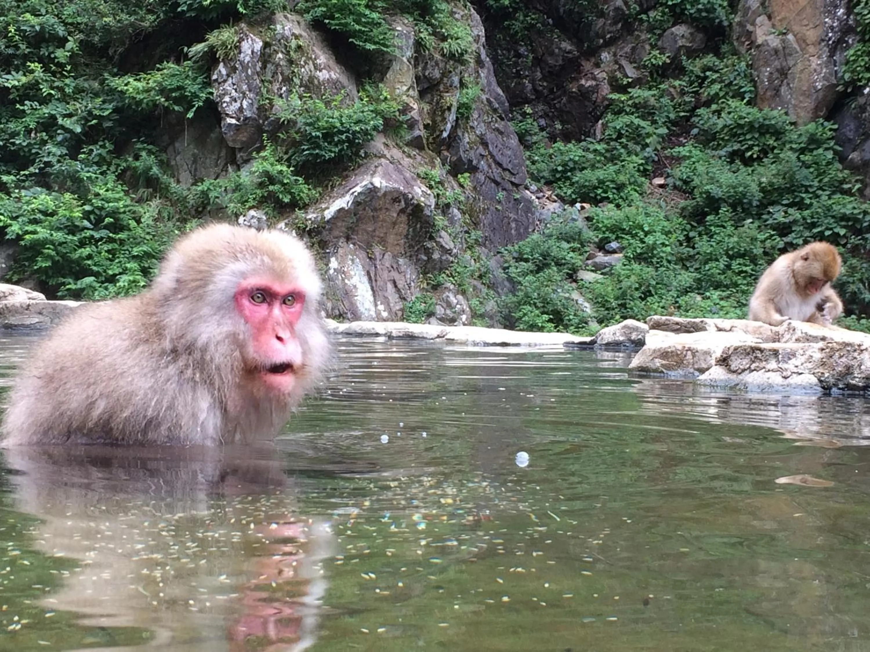 Off site in Shibu Onsen Koishiya Ryokan