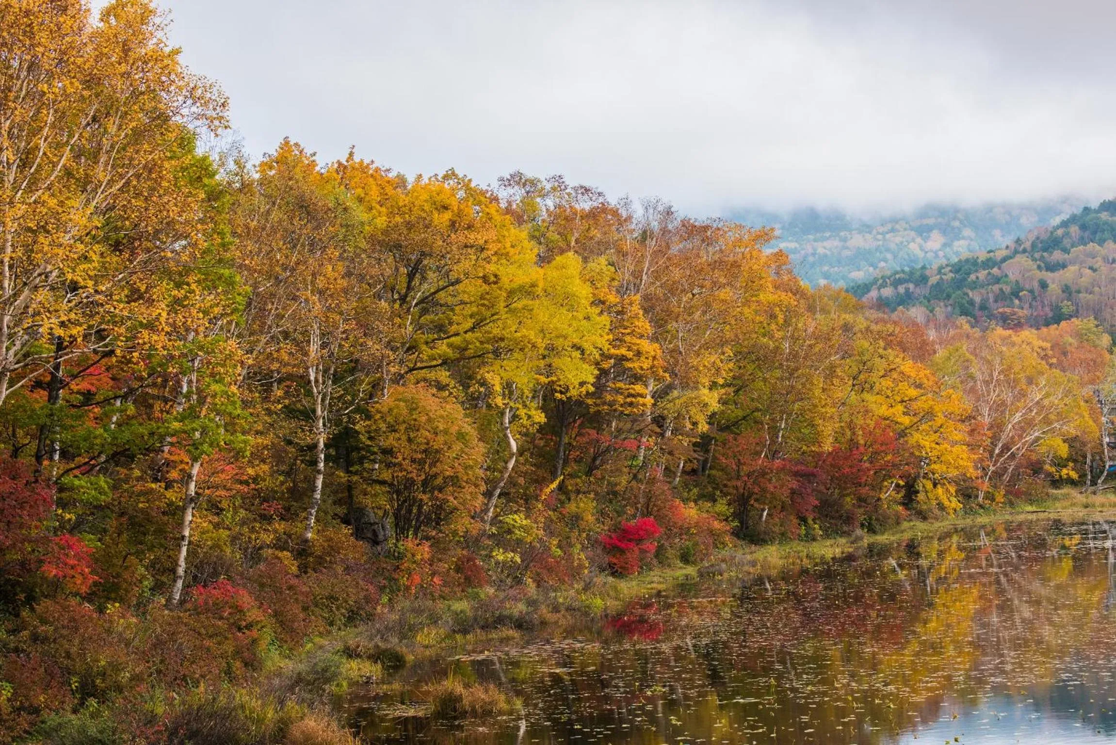 Day in Shibu Onsen Koishiya Ryokan