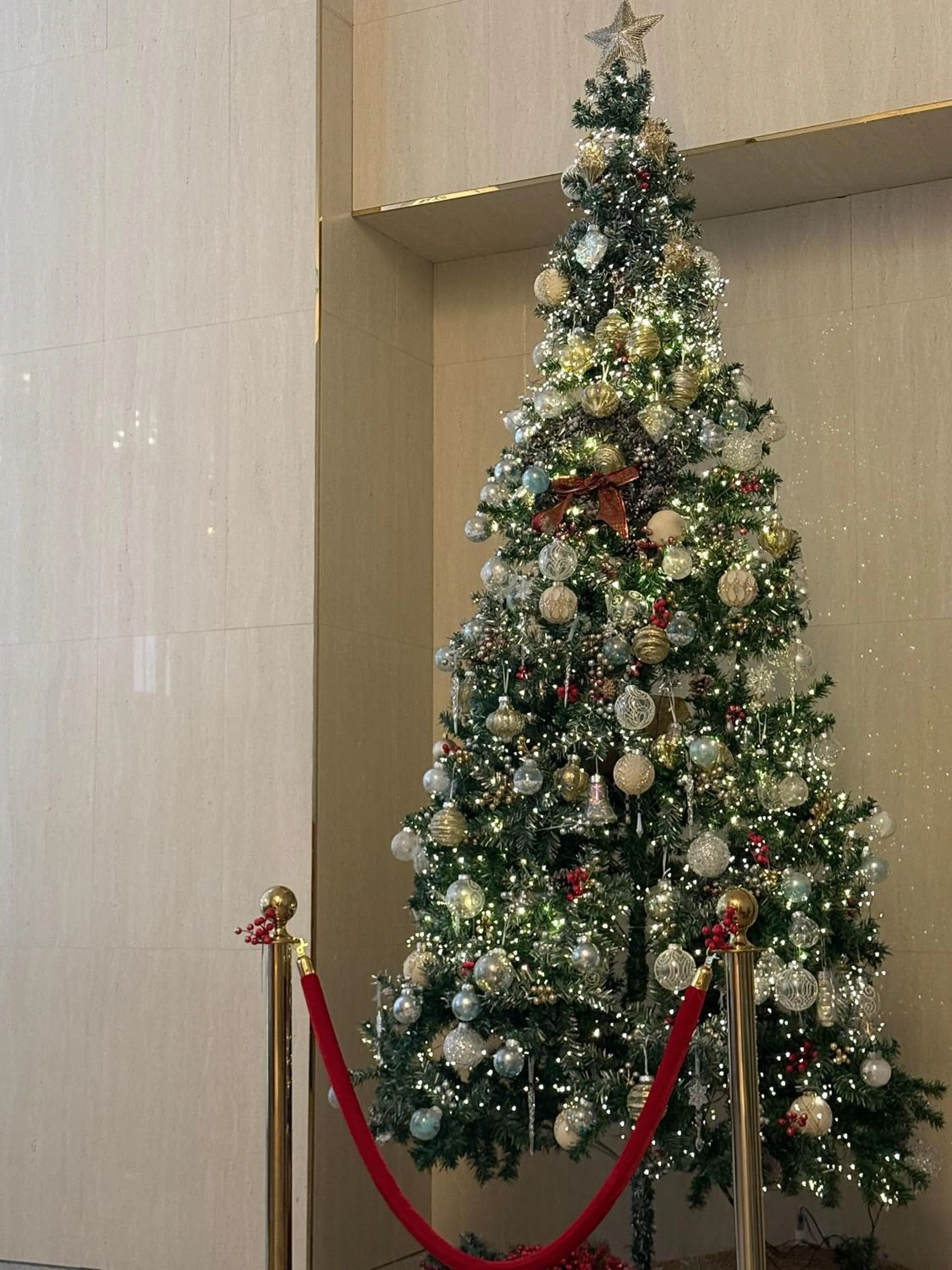 Raviens Maison de Hotel