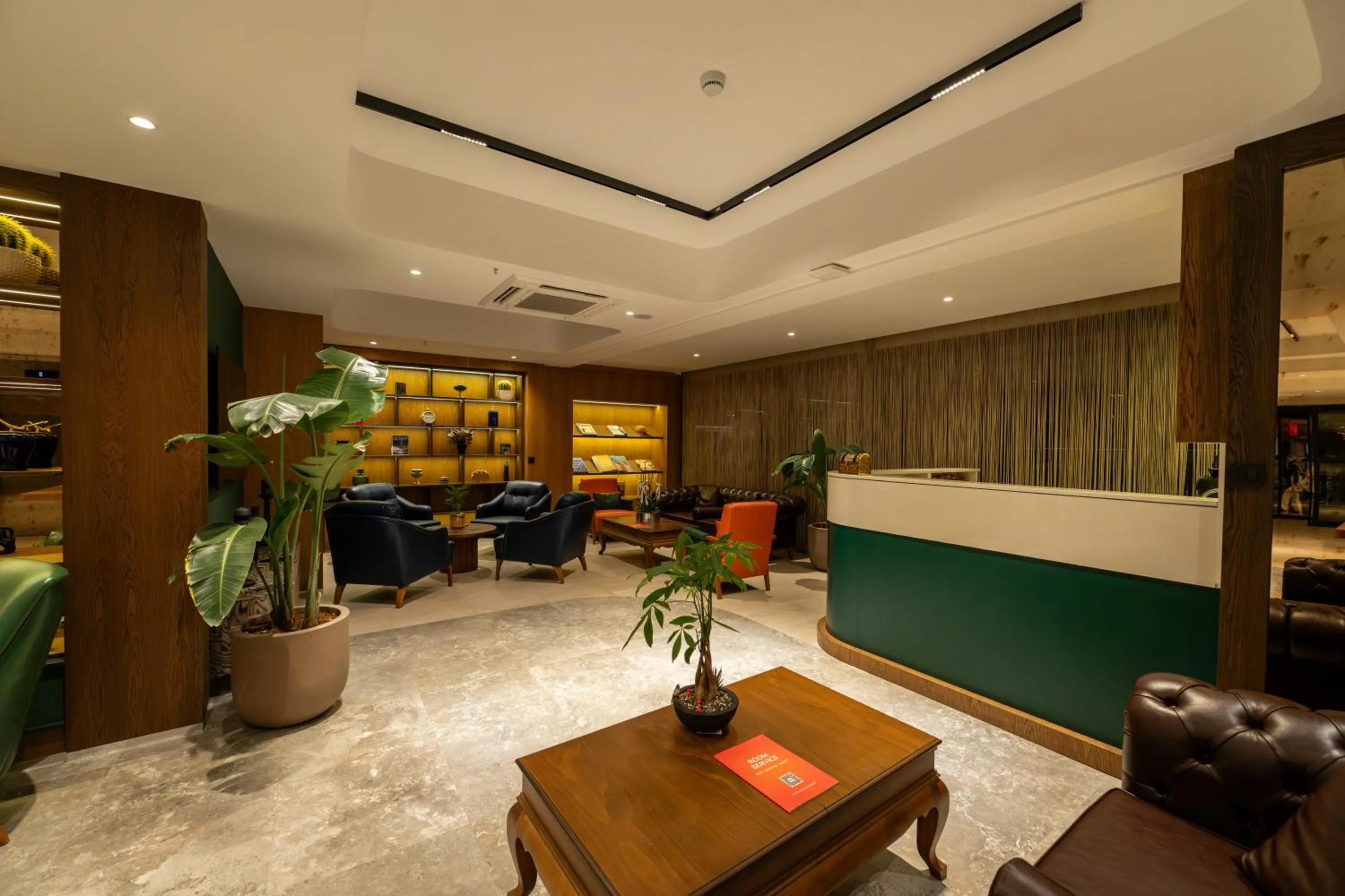 TV and multimedia in Alves Hotel