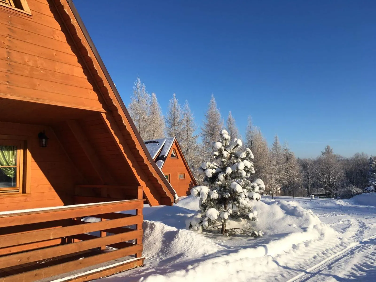 Facade/entrance in Czocha Palace&Czocha Camping - OR Czocha
