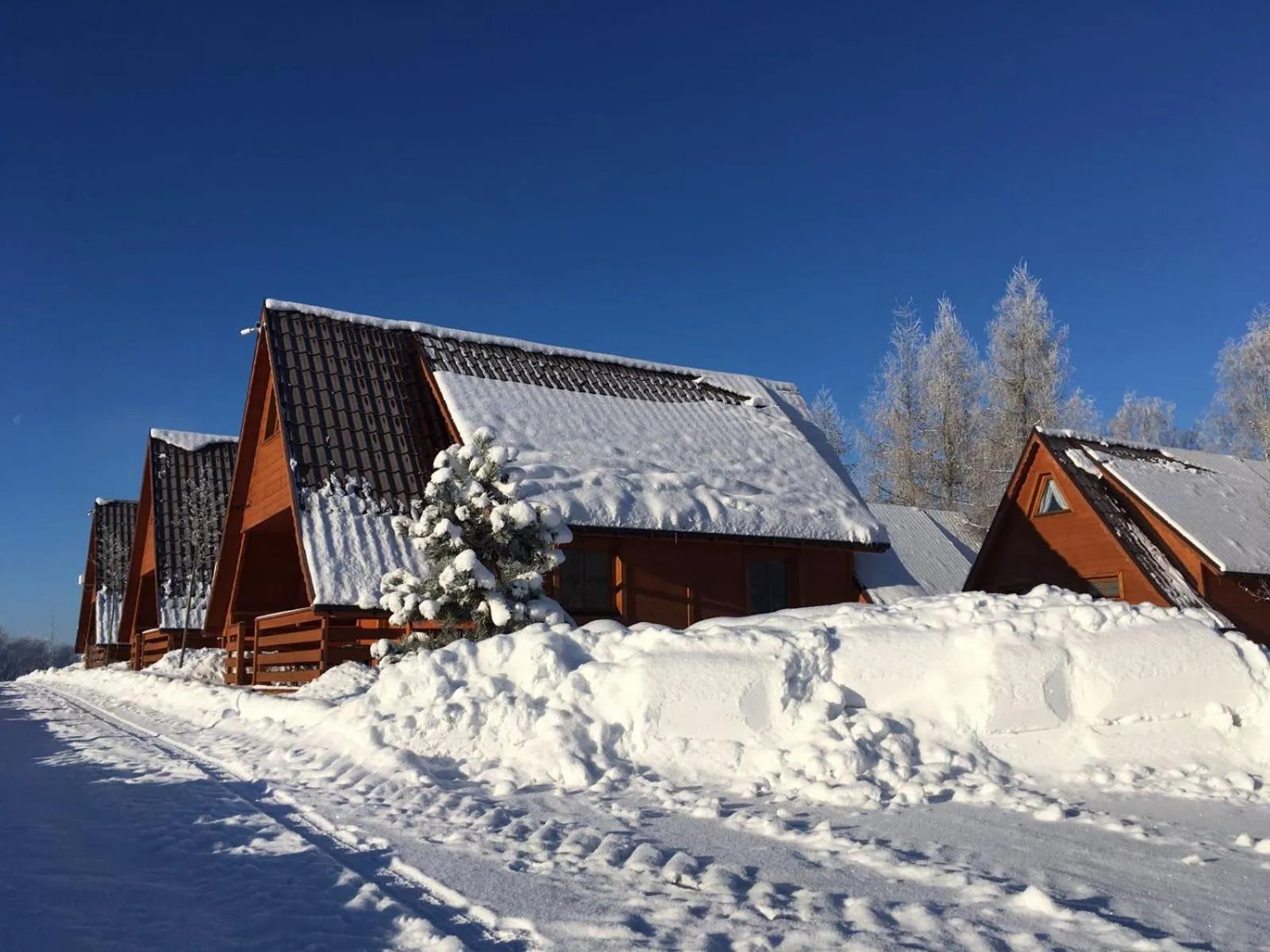Winter in Czocha Palace&Czocha Camping - OR Czocha