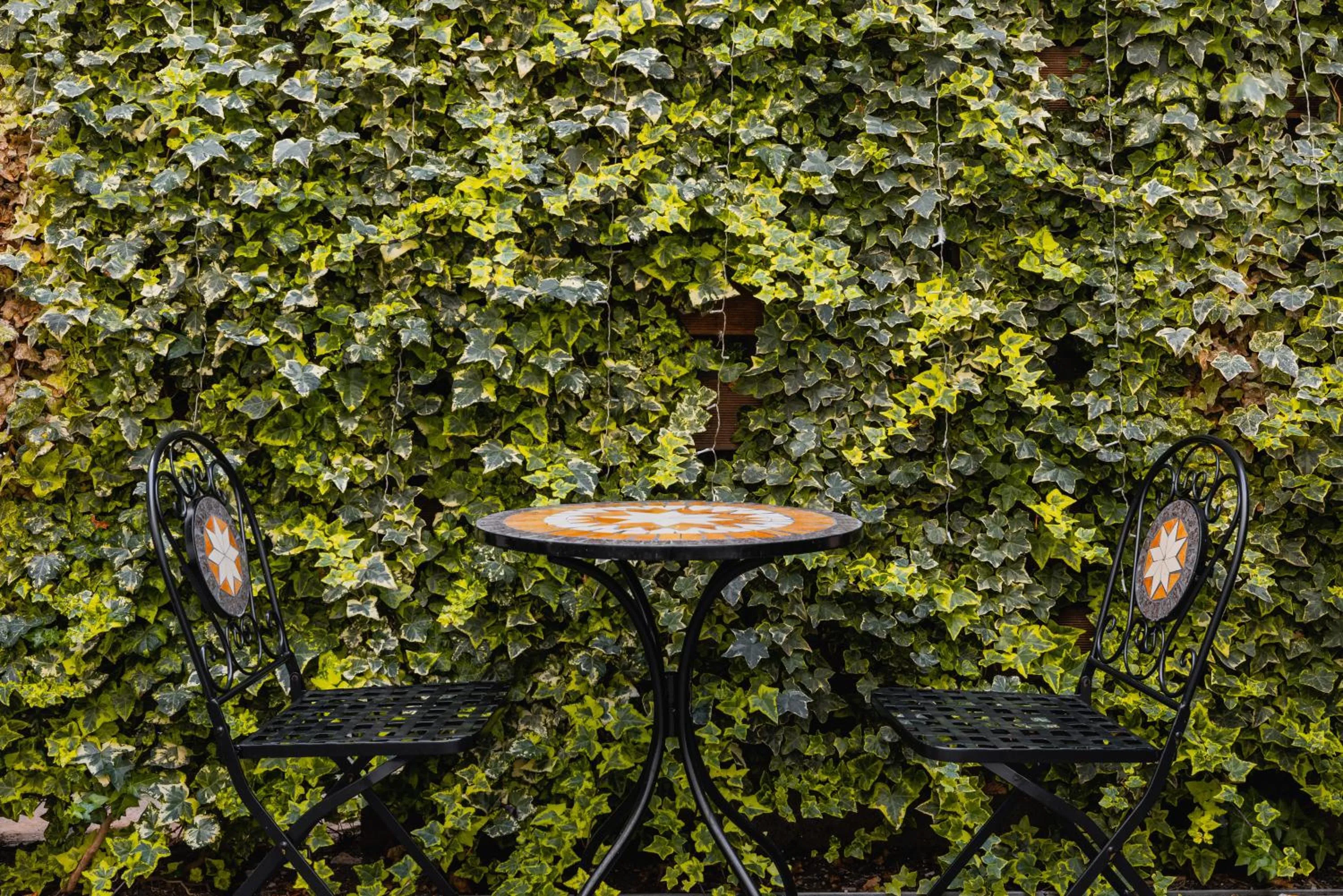 Balcony/Terrace in FortyPlusOne Hotel Vienna
